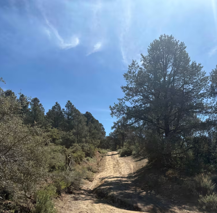 San Emigdio - FS 9N34