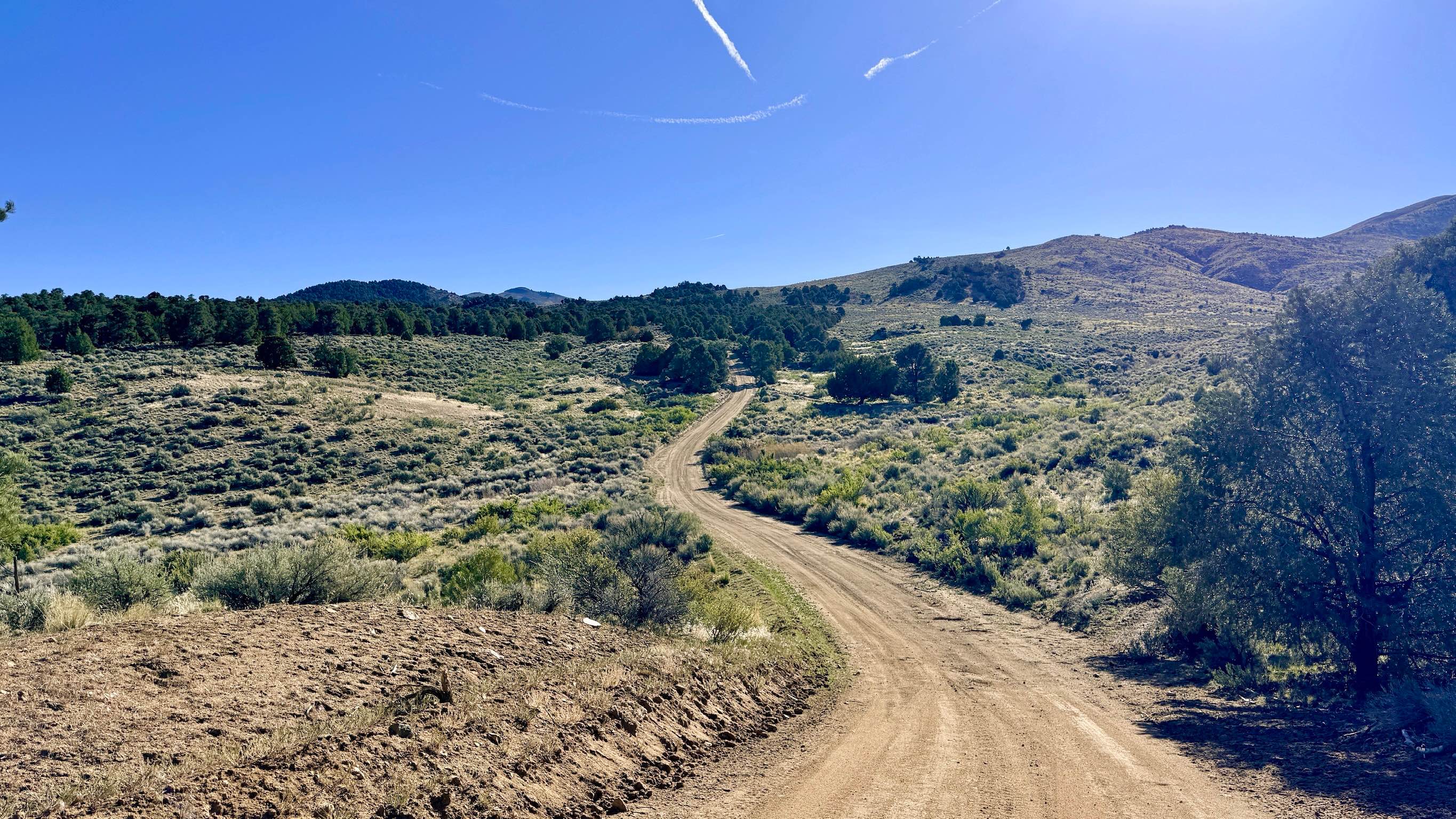 Crow Canyon - FS 43242