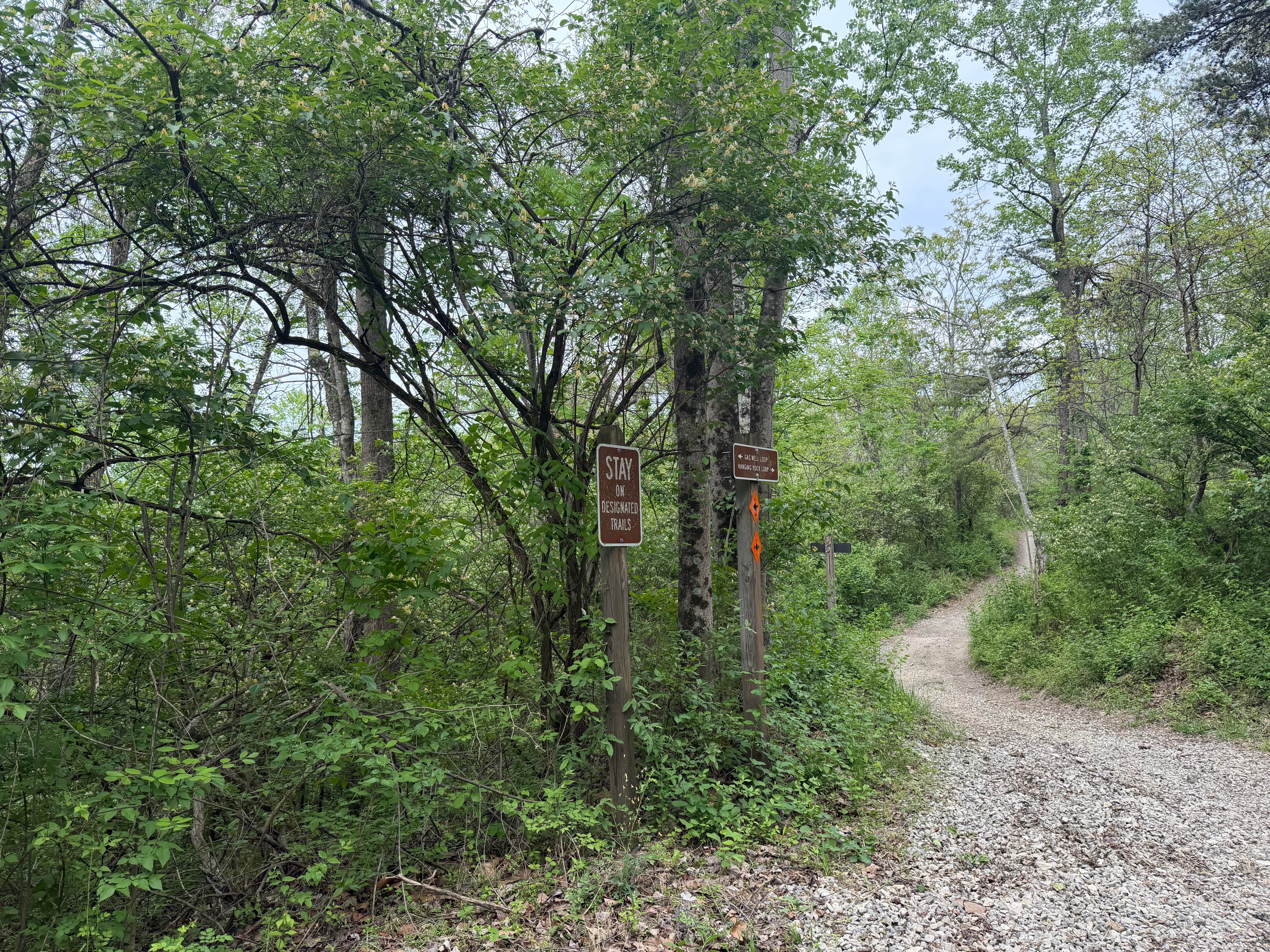 Hanging Rock Trail