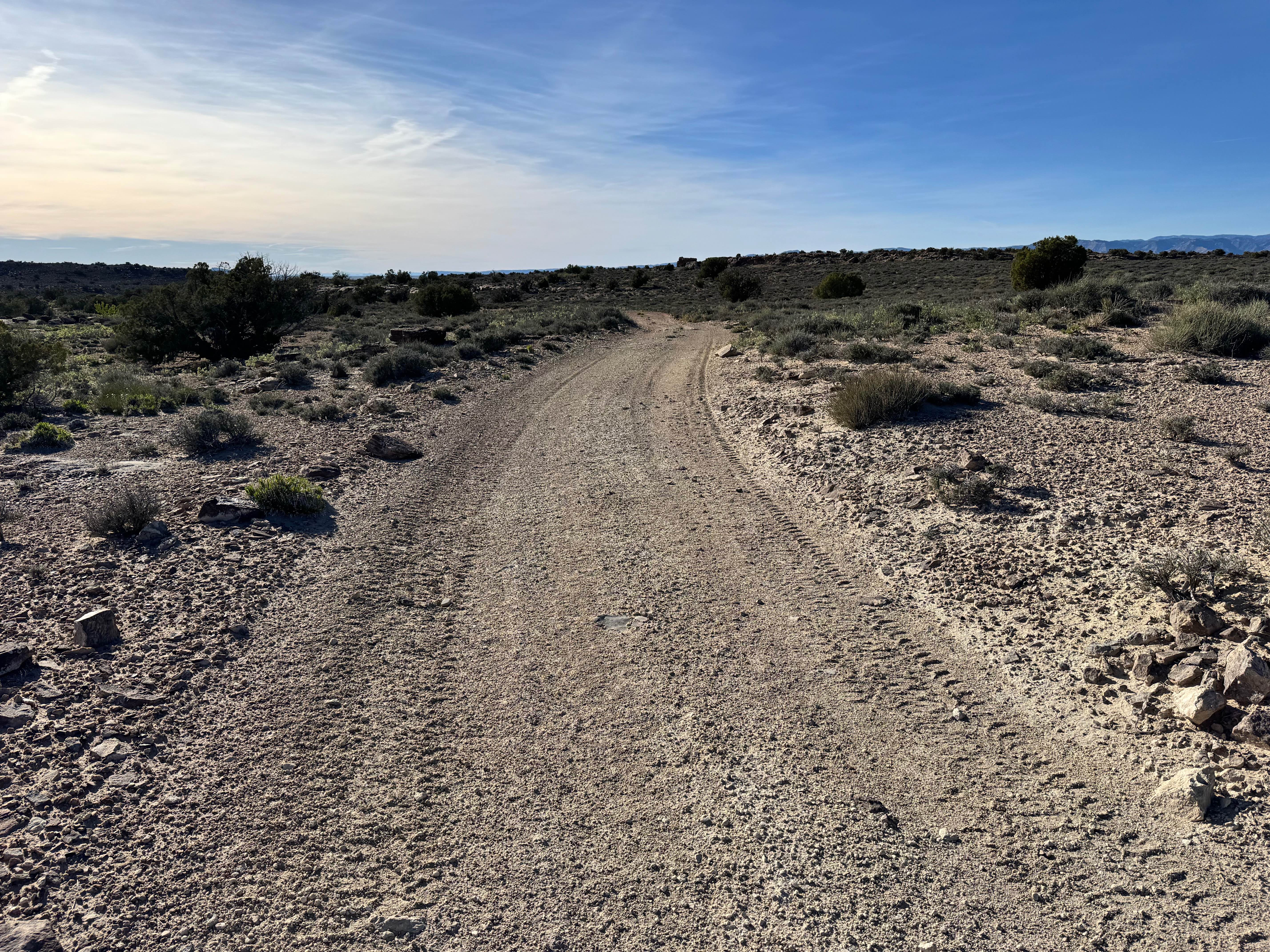Yellow Cat Loop