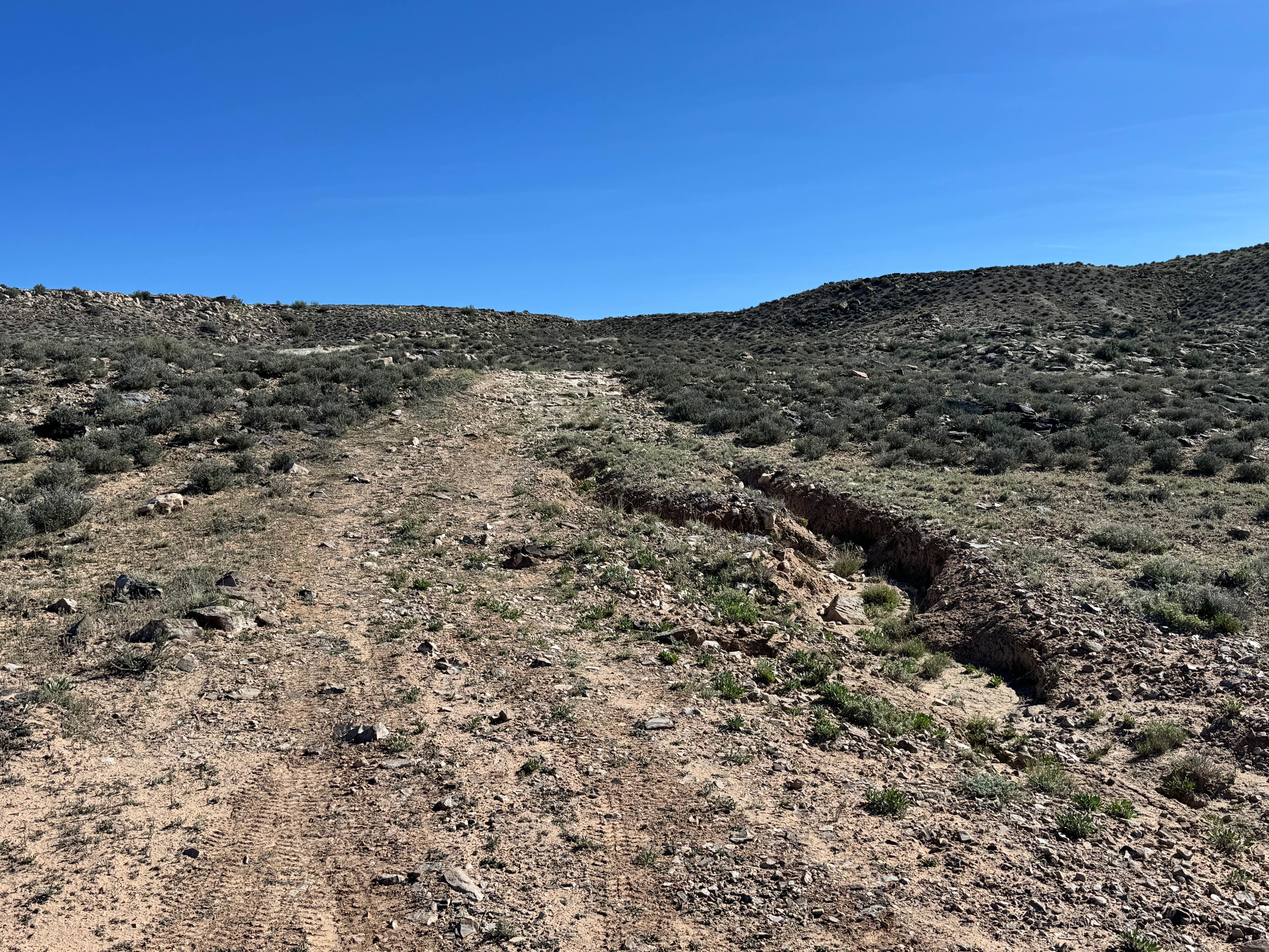 Molly Hogans Overlook