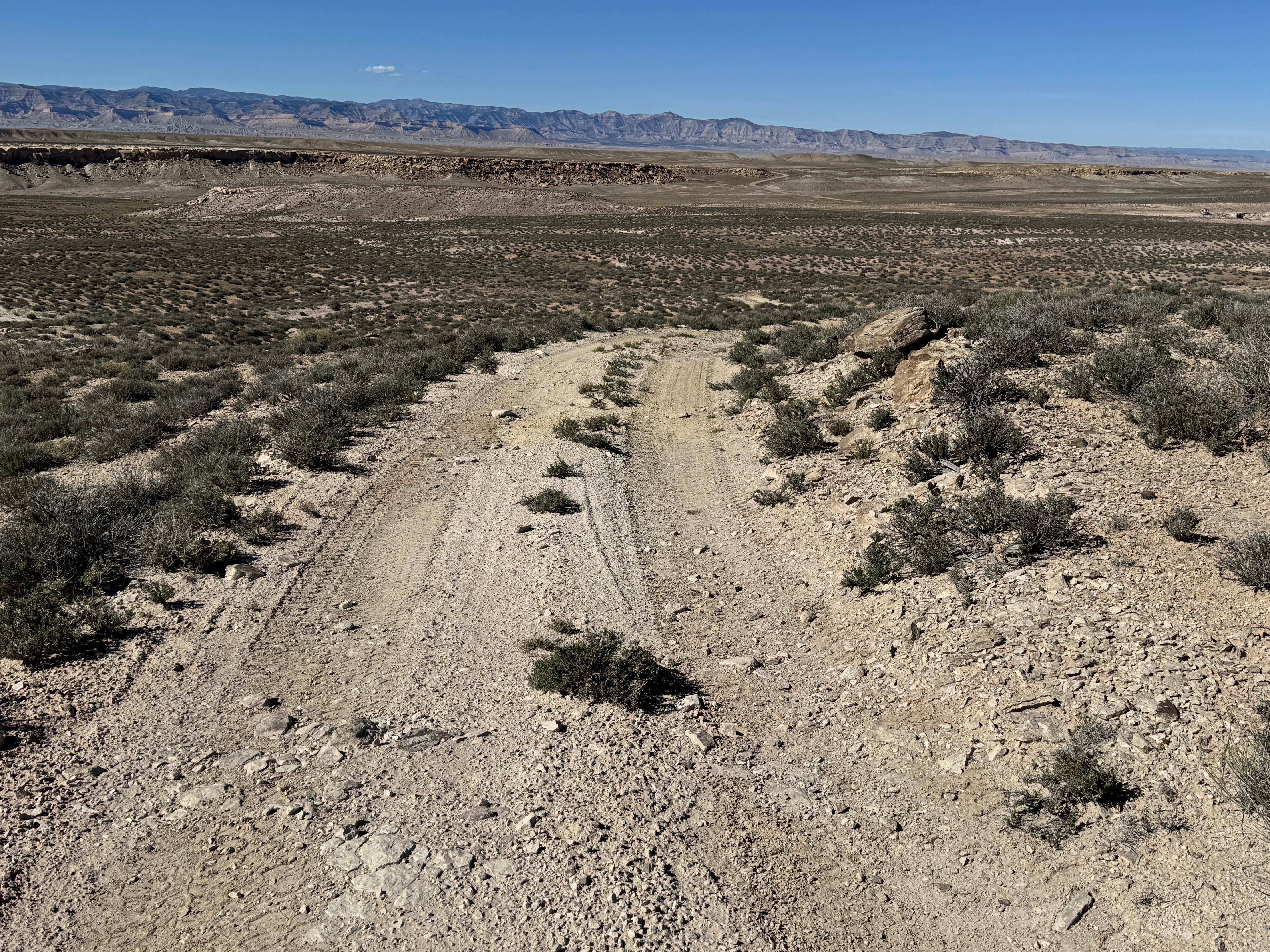 Molly Hogans Overlook