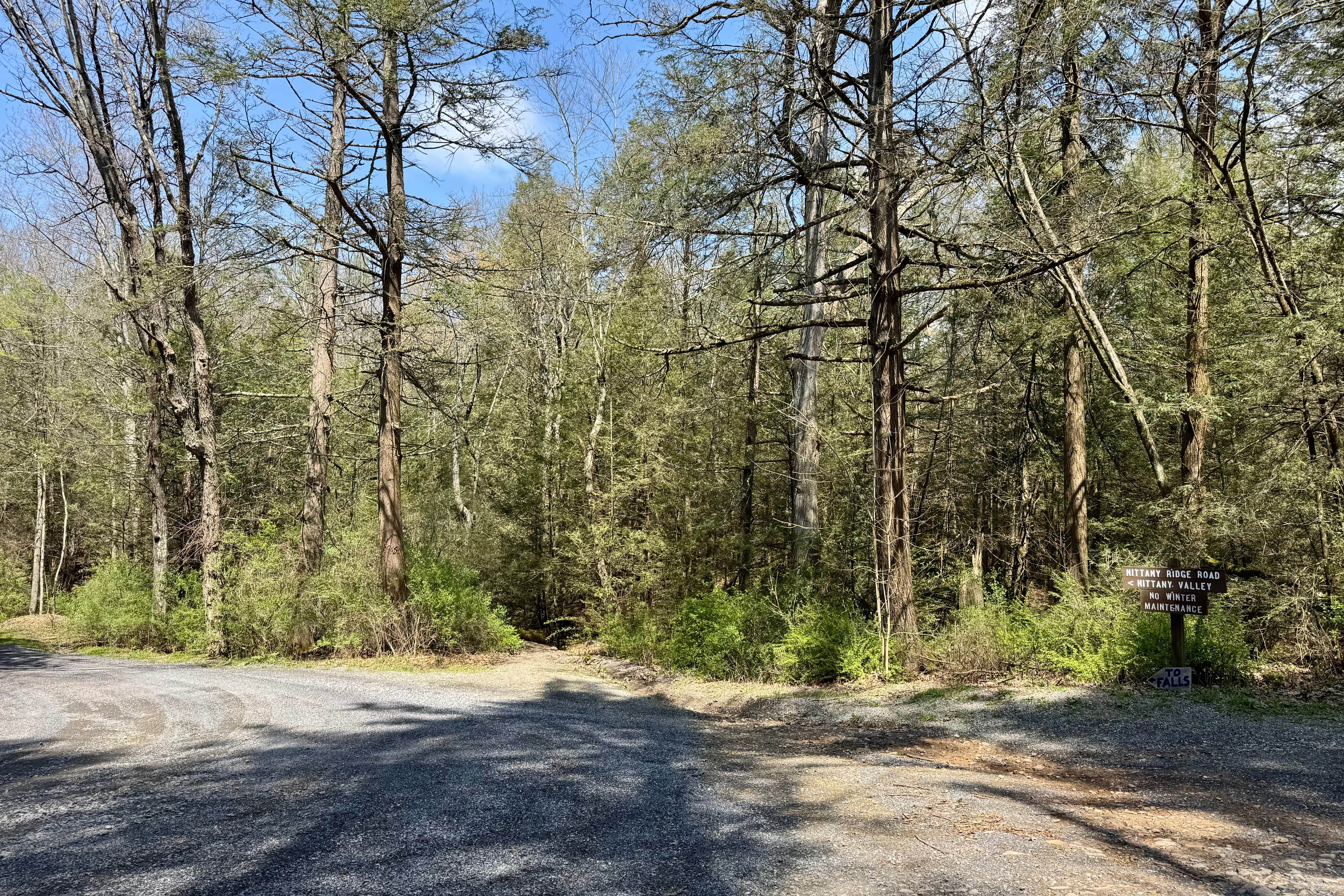 Nittany Ridge Road