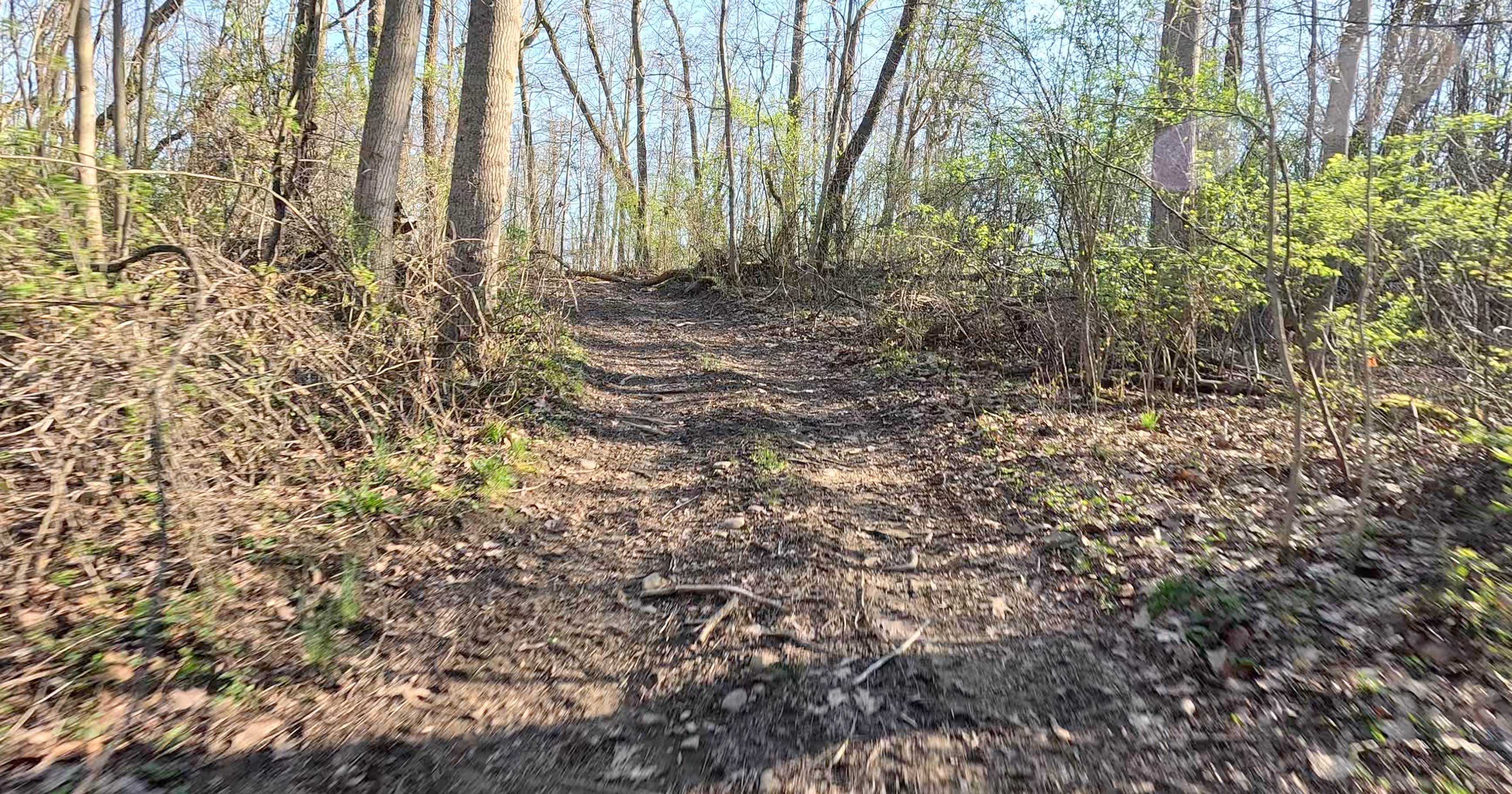 Members Only Trail 3