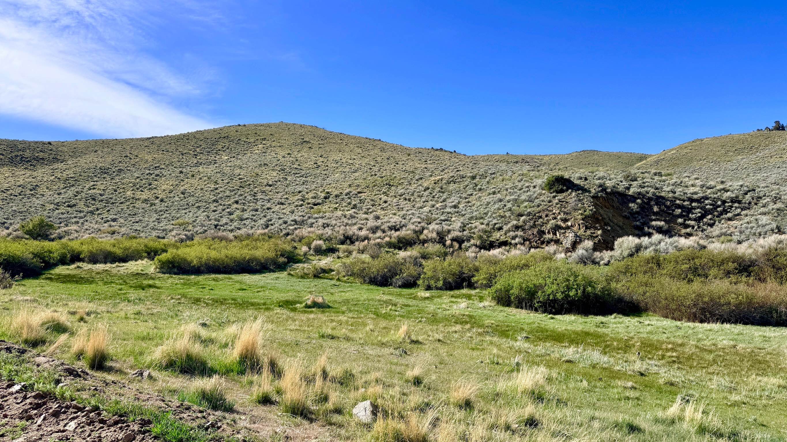 Marshall Canyon - FS 43241