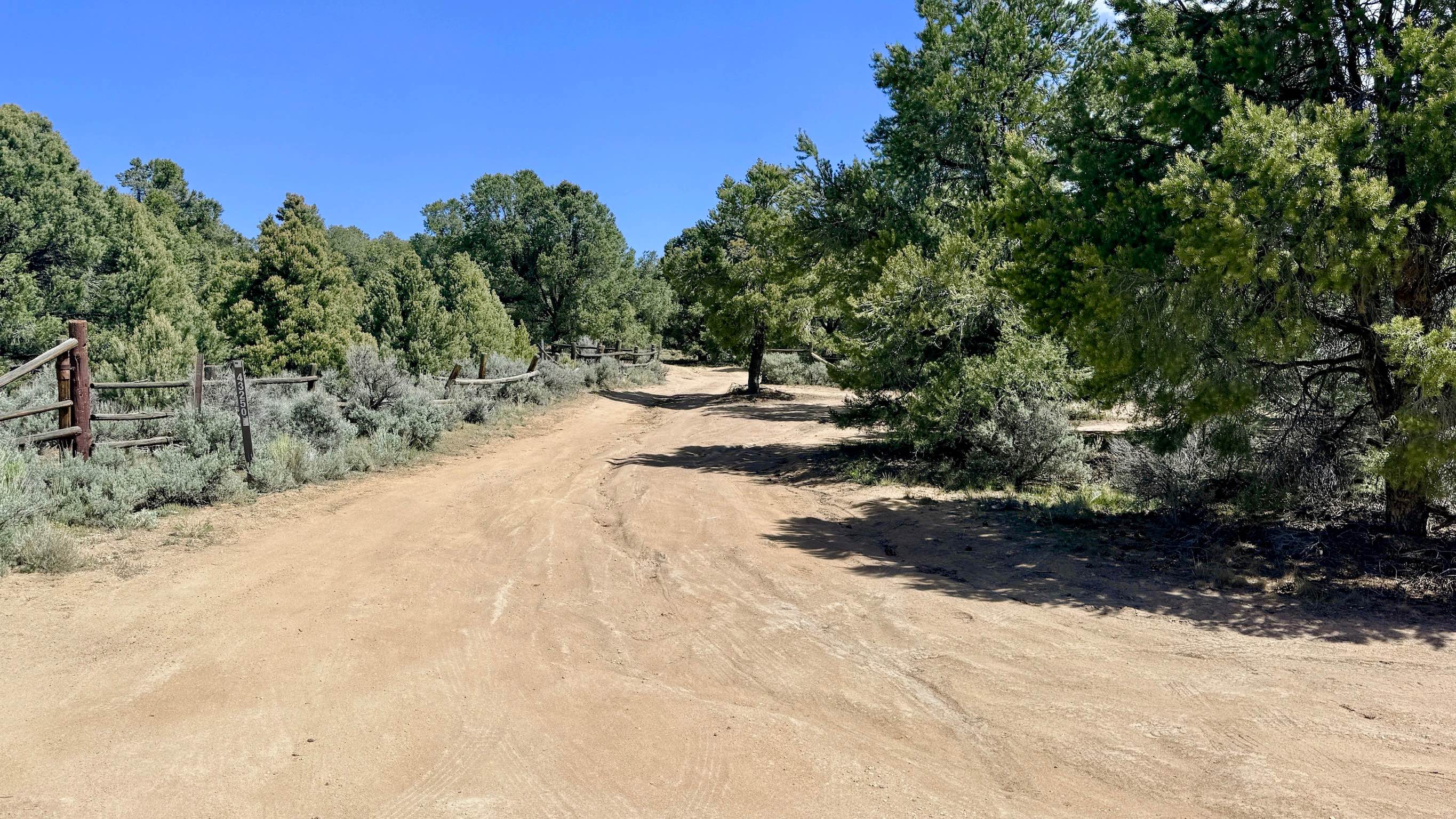 Blackbird Spring Loop - FS 43250