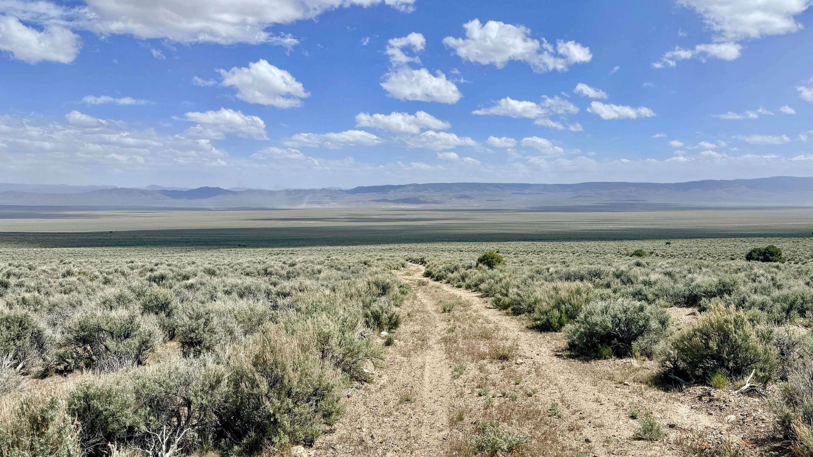 Blackbird Creek Loop - FS 43253