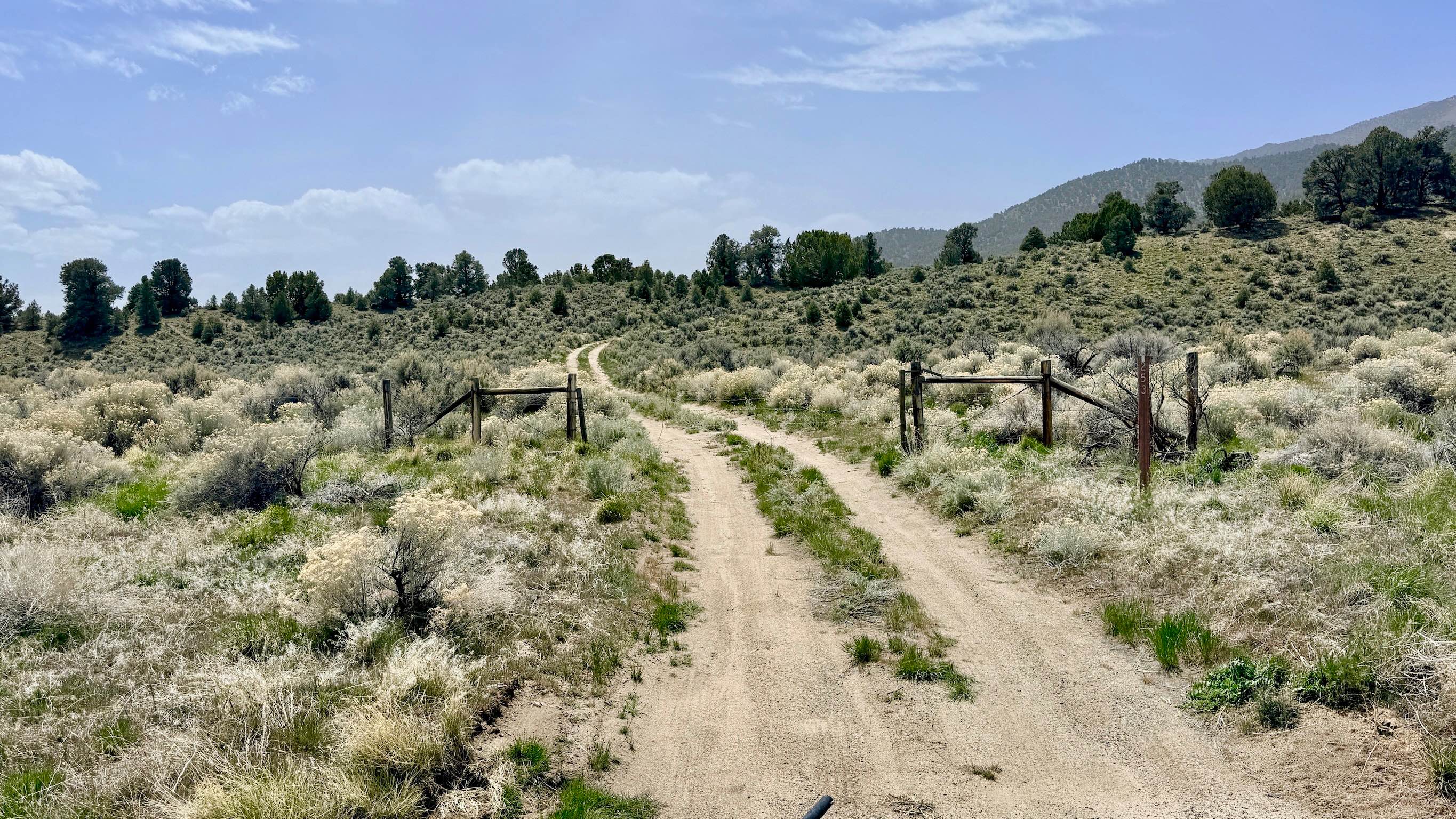 Blackbird Creek Loop - FS 43253
