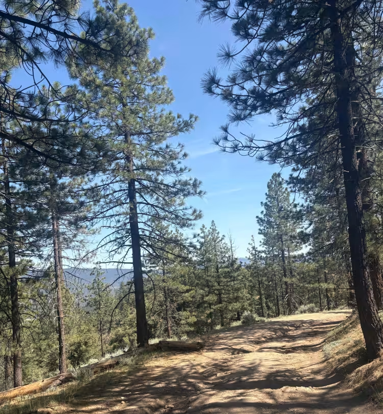 Seymour Creek - FS 8N05