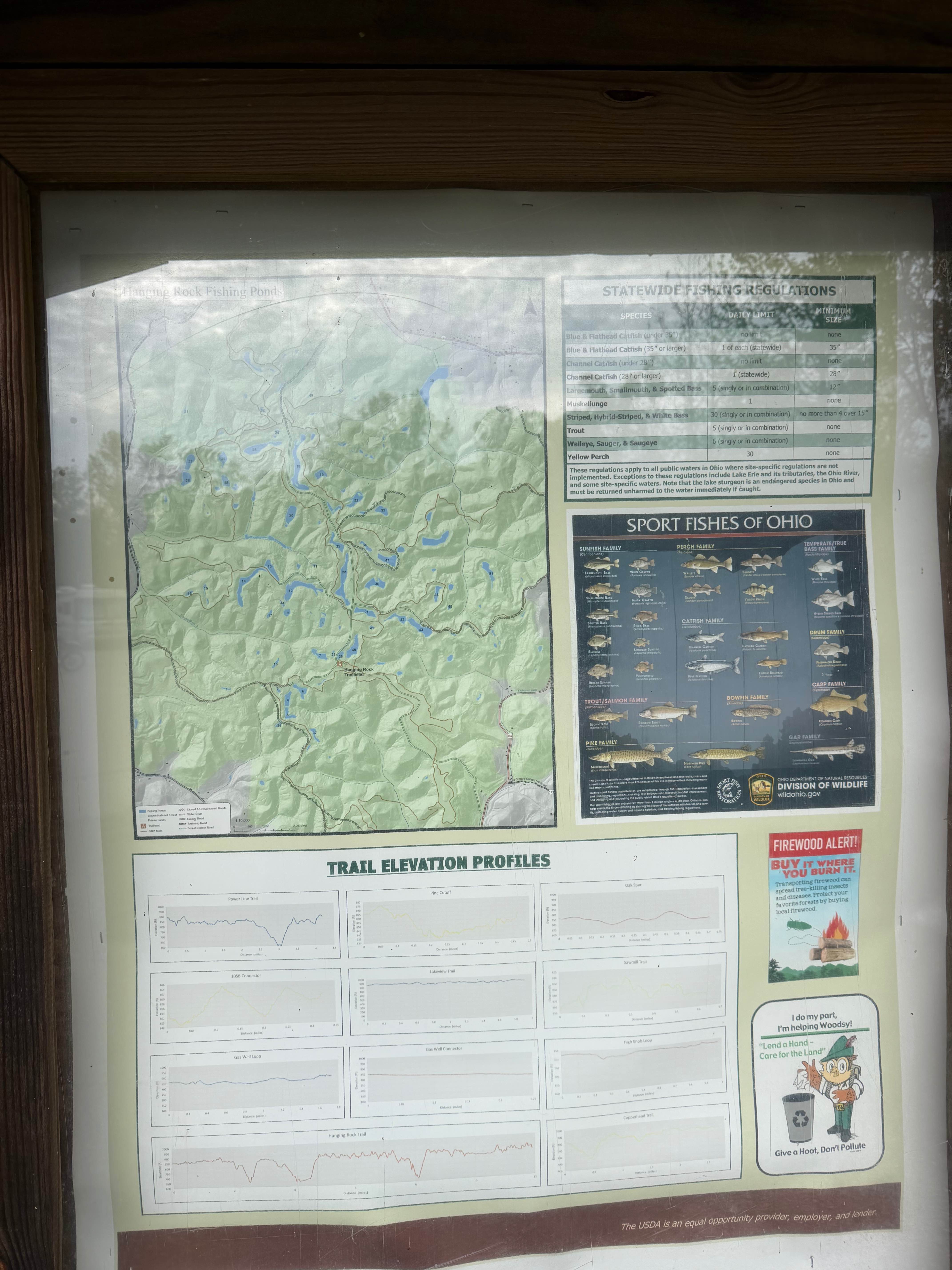 Lake View Trail