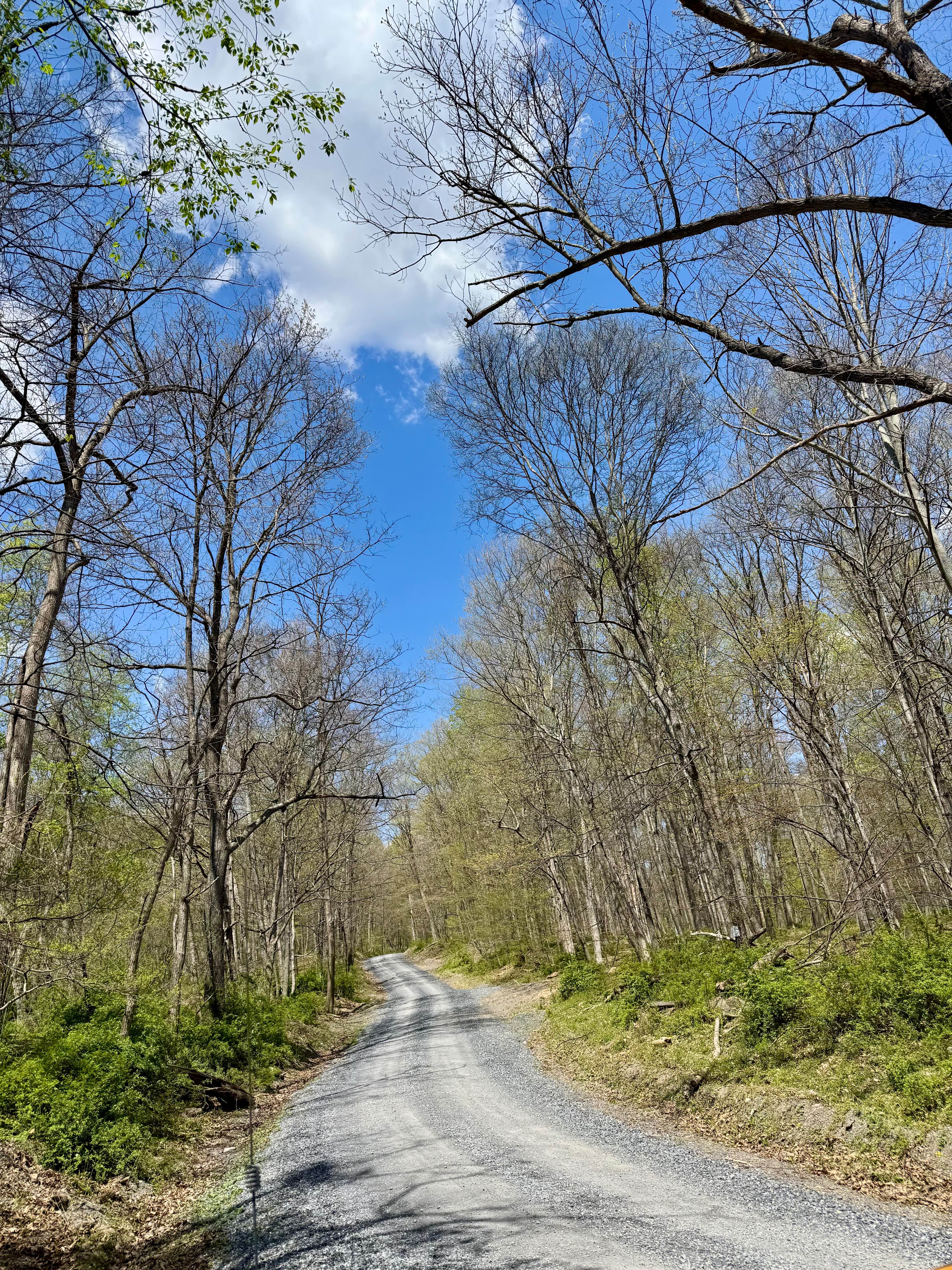 Wynn Gap Rd