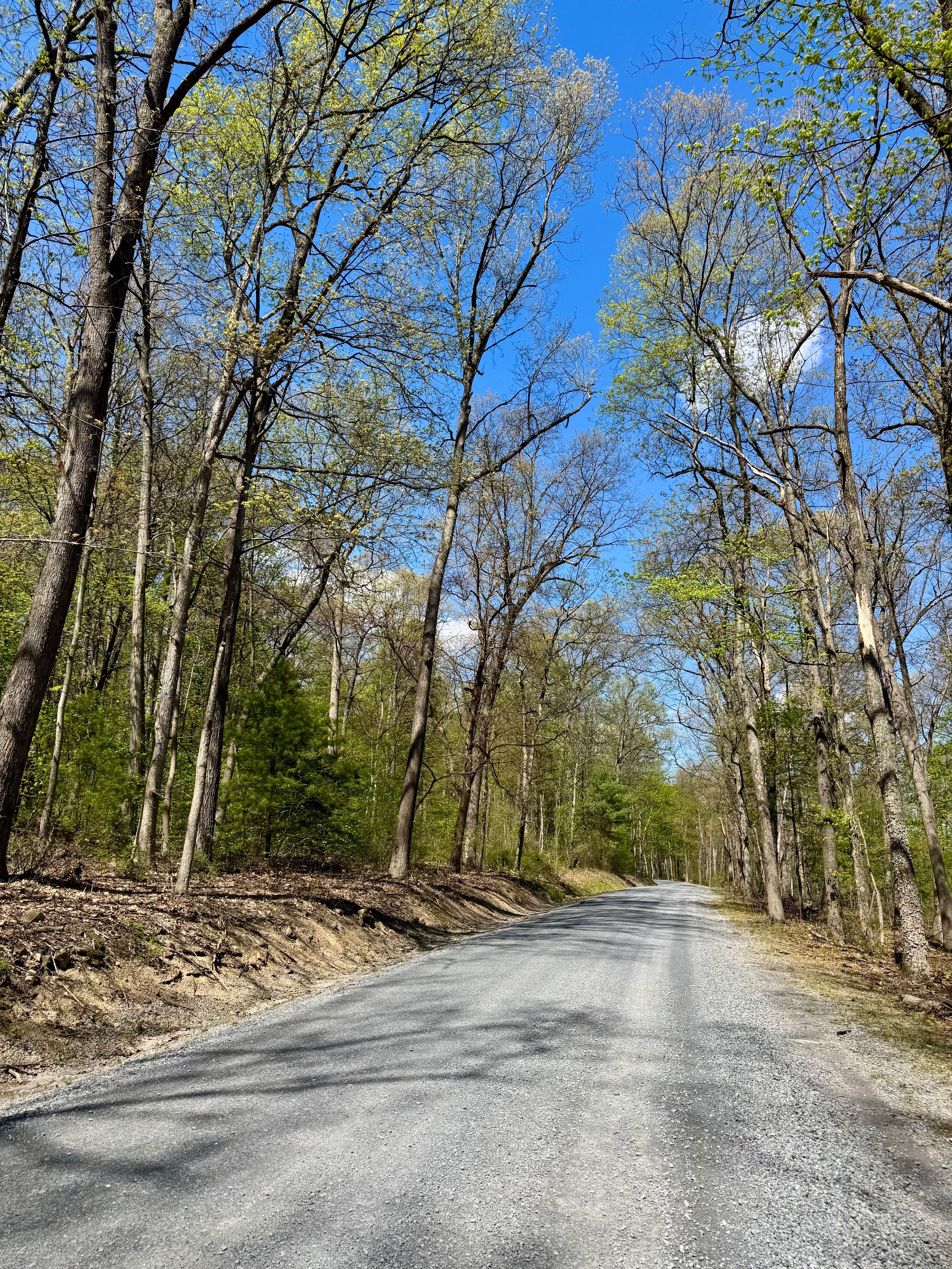 Licking Creek Dr