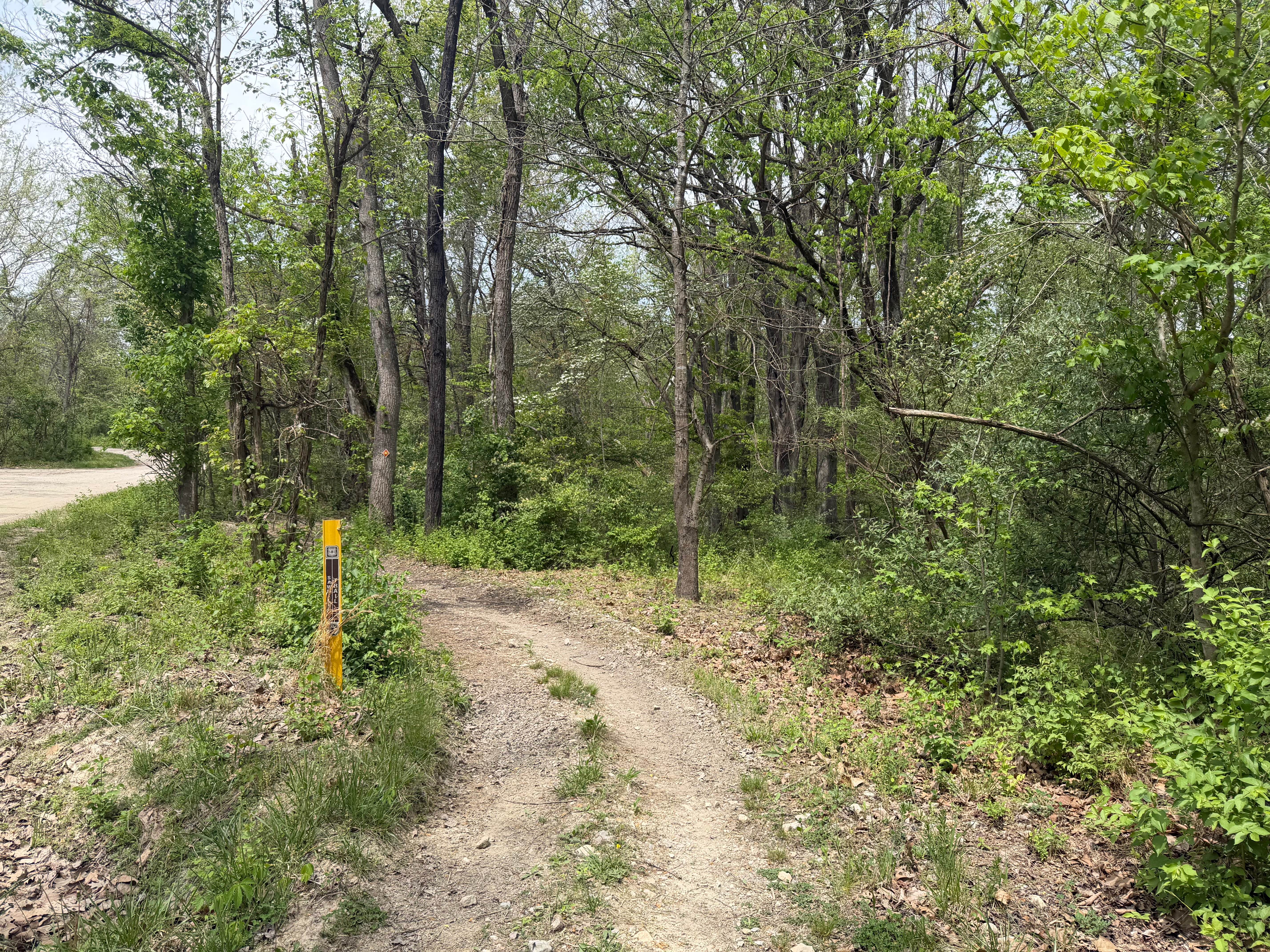 Saw Mill Trail