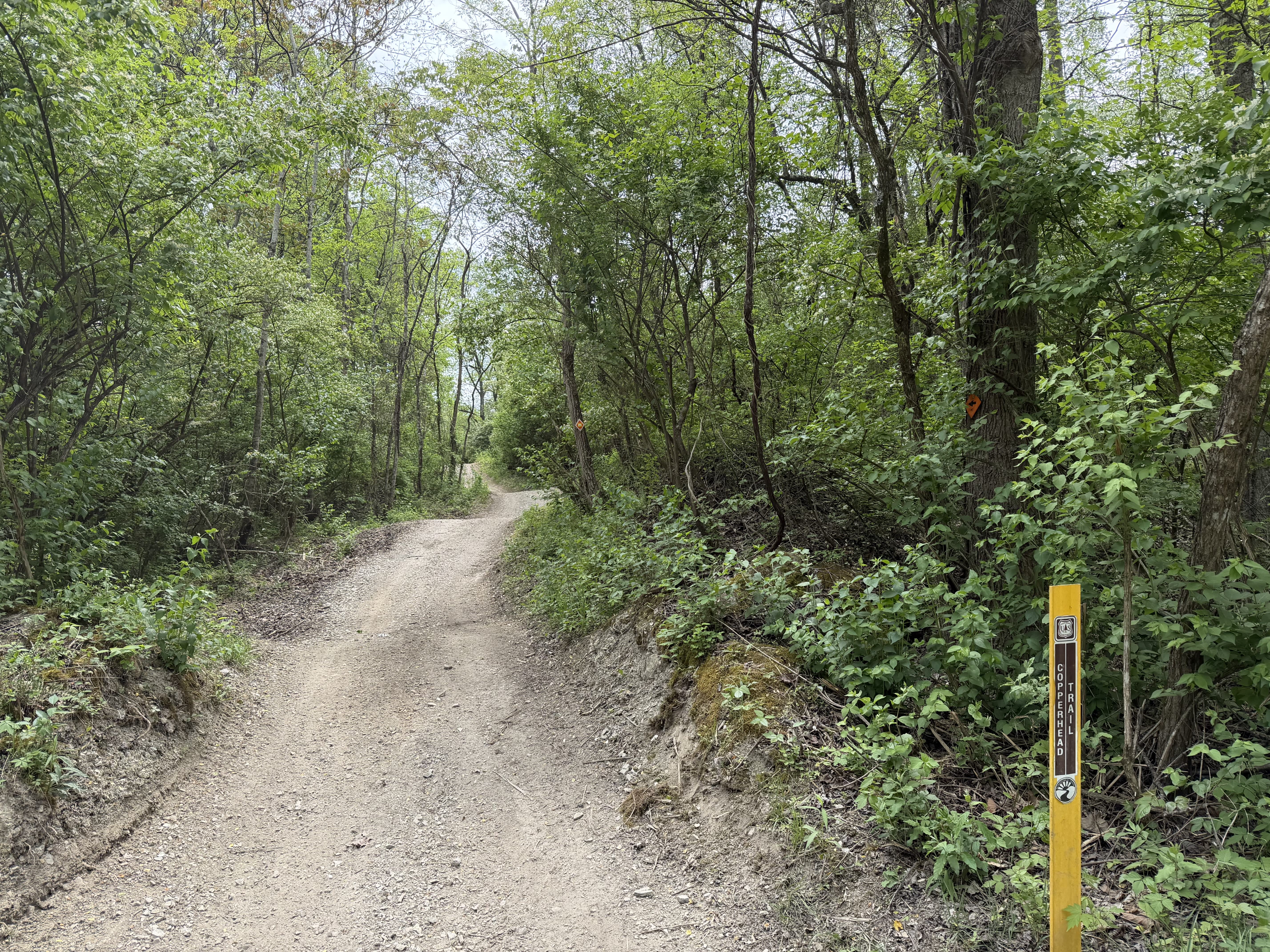 Copperhead Trail