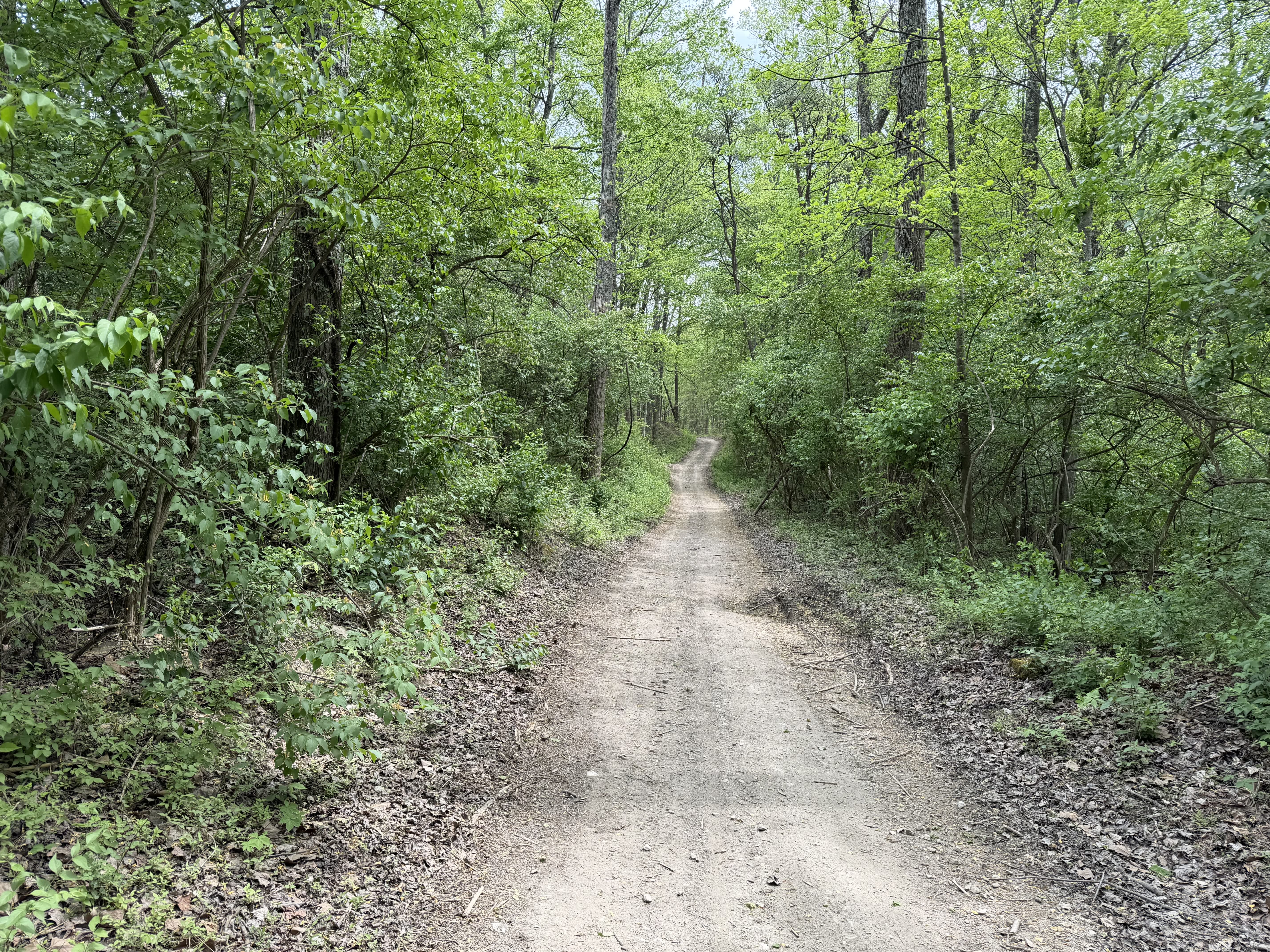 Copperhead Trail
