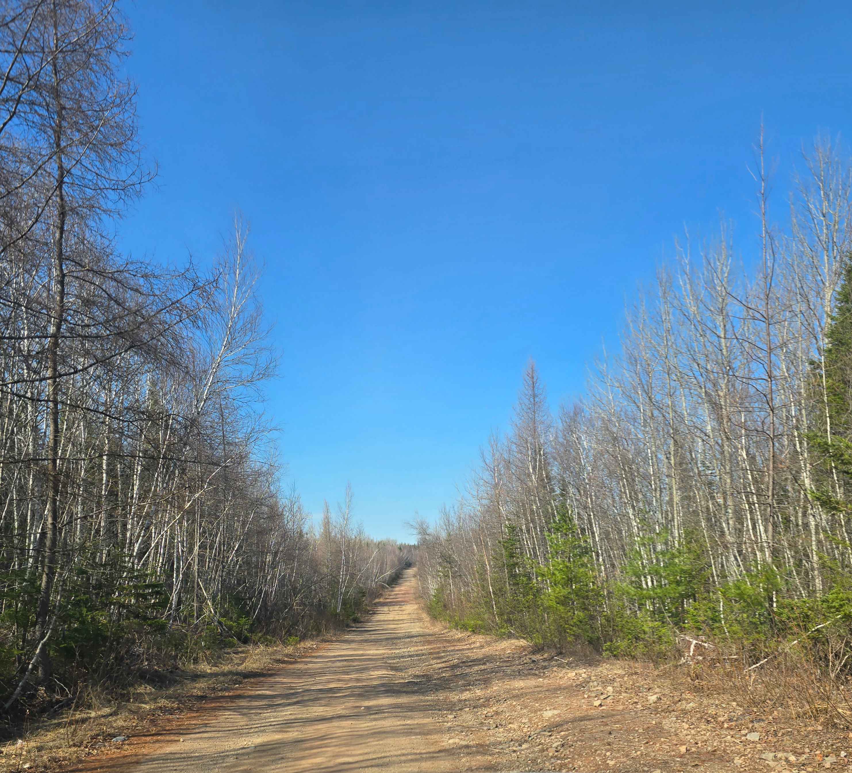 Campbell Brook Road
