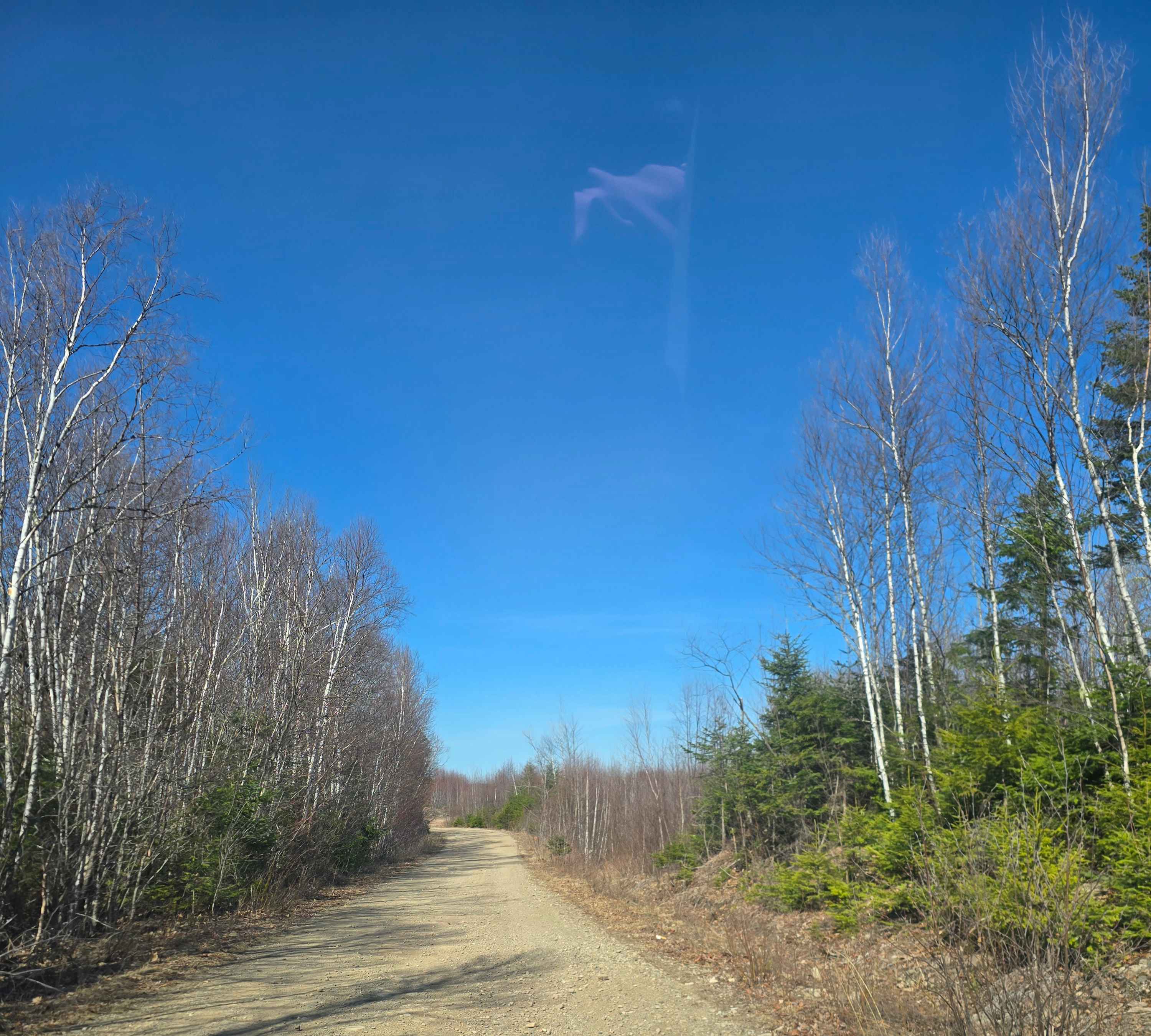 Campbell Brook Road