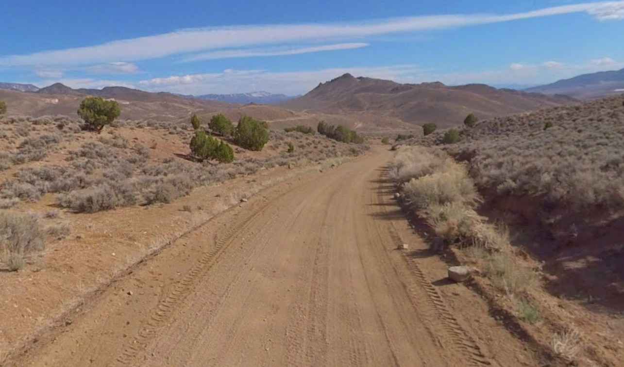 VCA Mine Road