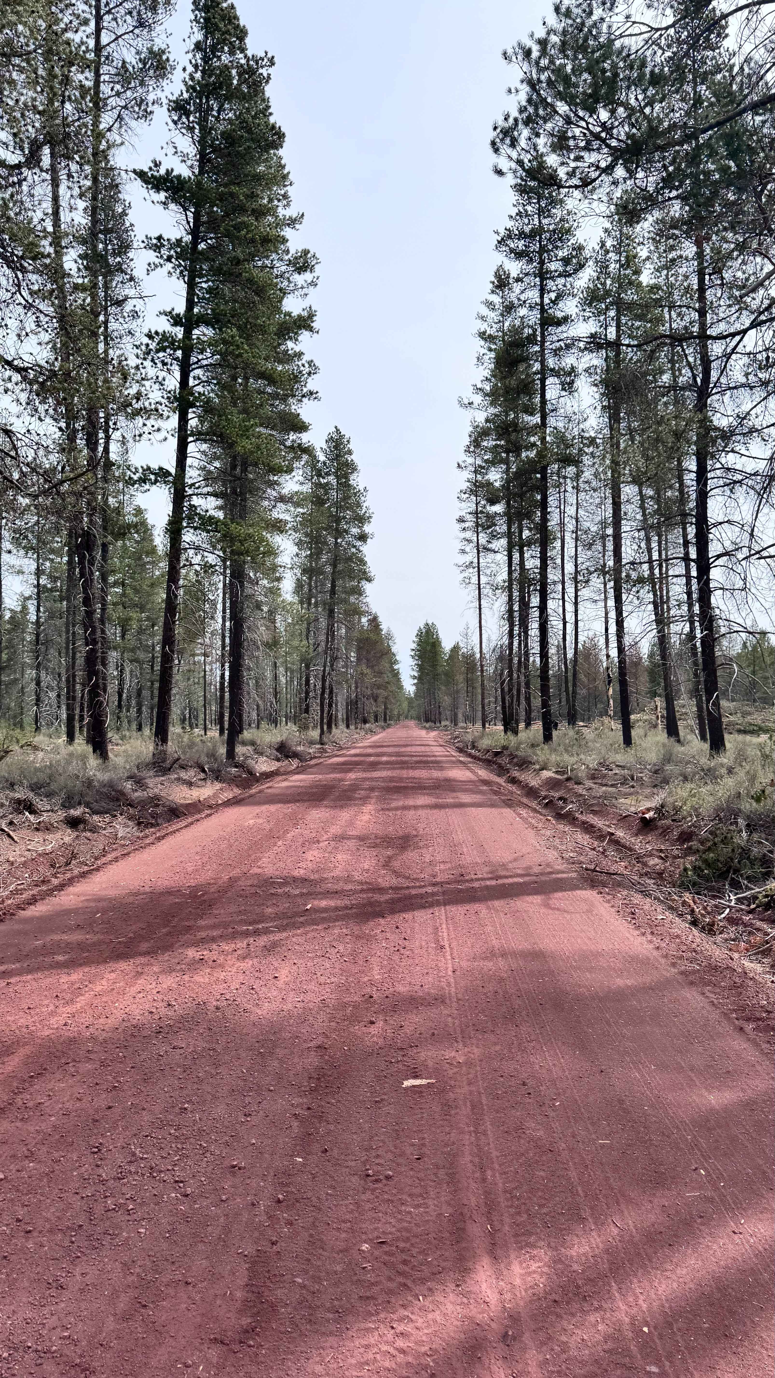 Kirk Rd