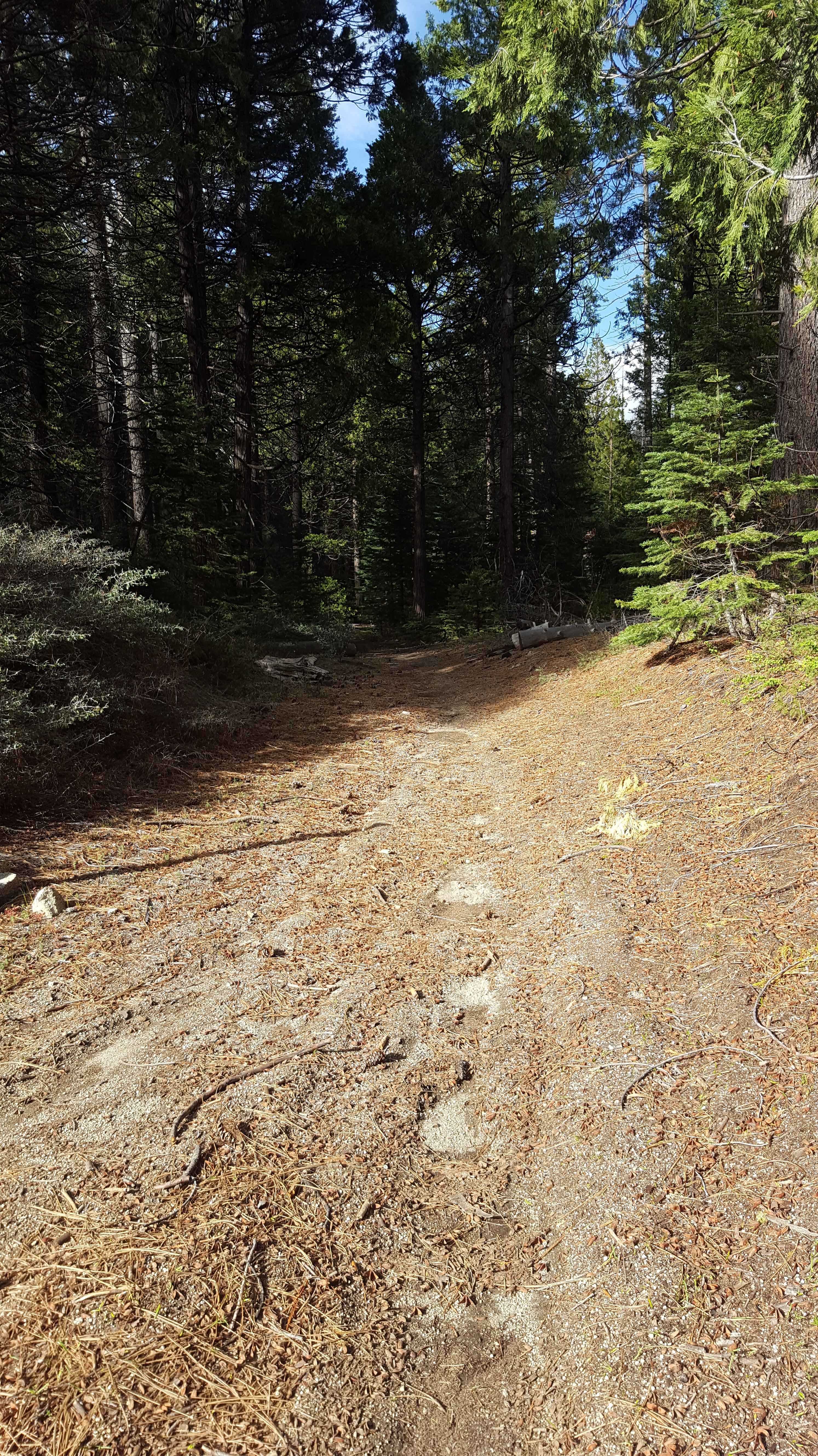 Browns Trail - FS 23E285