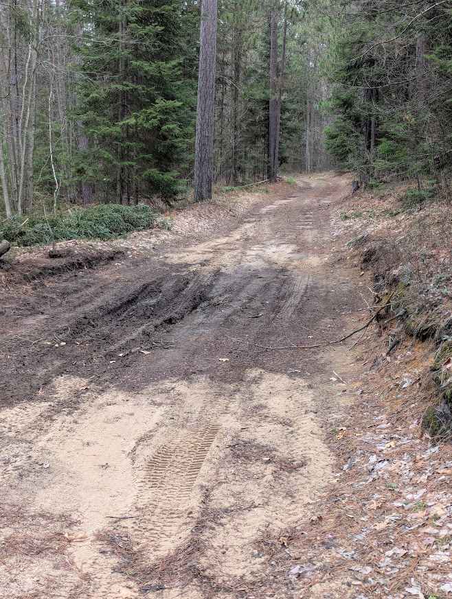 Hawk Trail