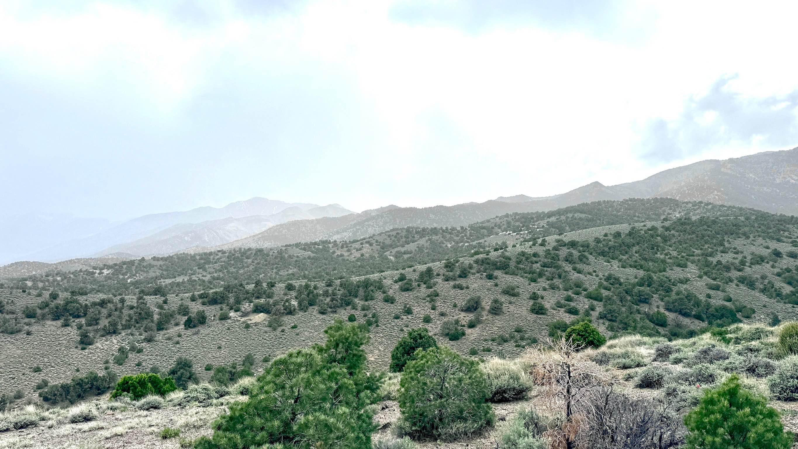 South Lowboy Mine FS43245