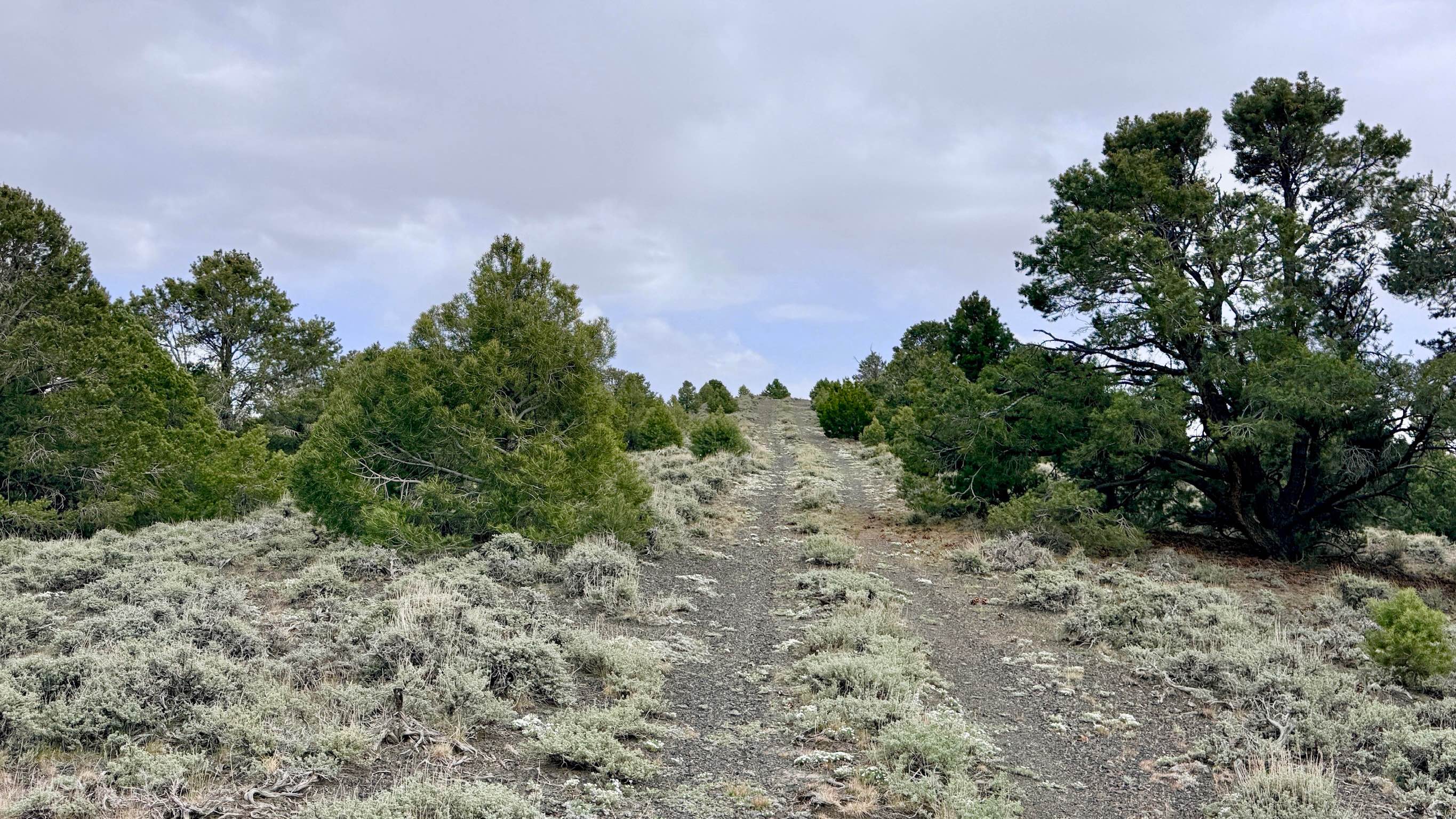 South Lowboy Mine FS43245