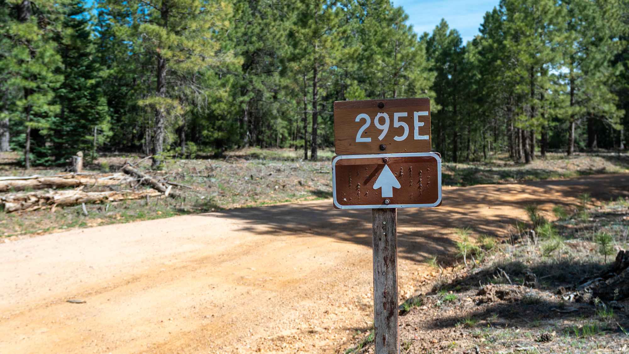 Knoll Lake - FS 295E
