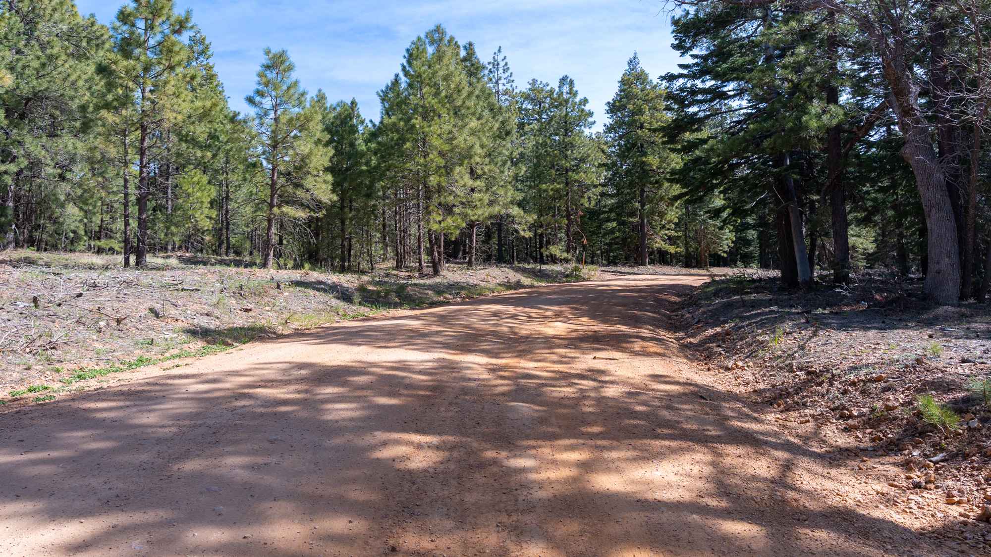 Knoll Lake - FS 295E