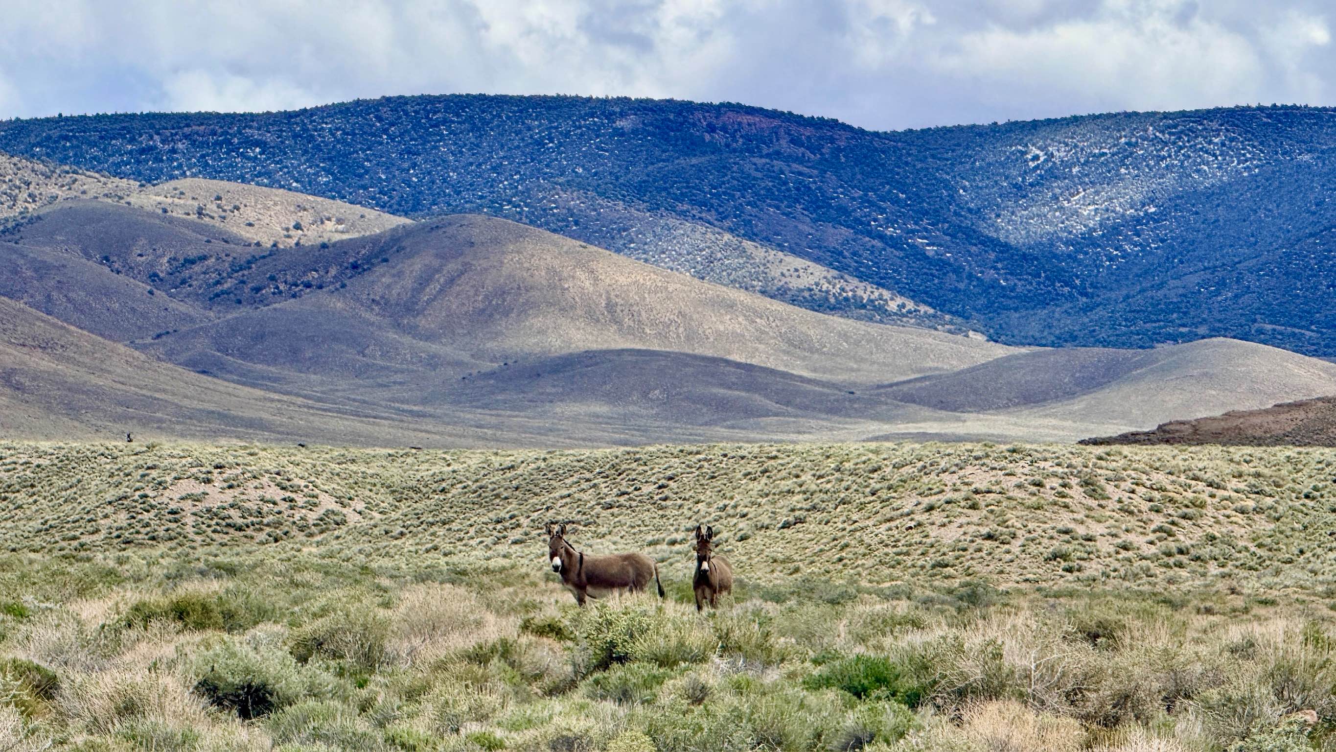 Bronco Mine Bypass - FS 43289