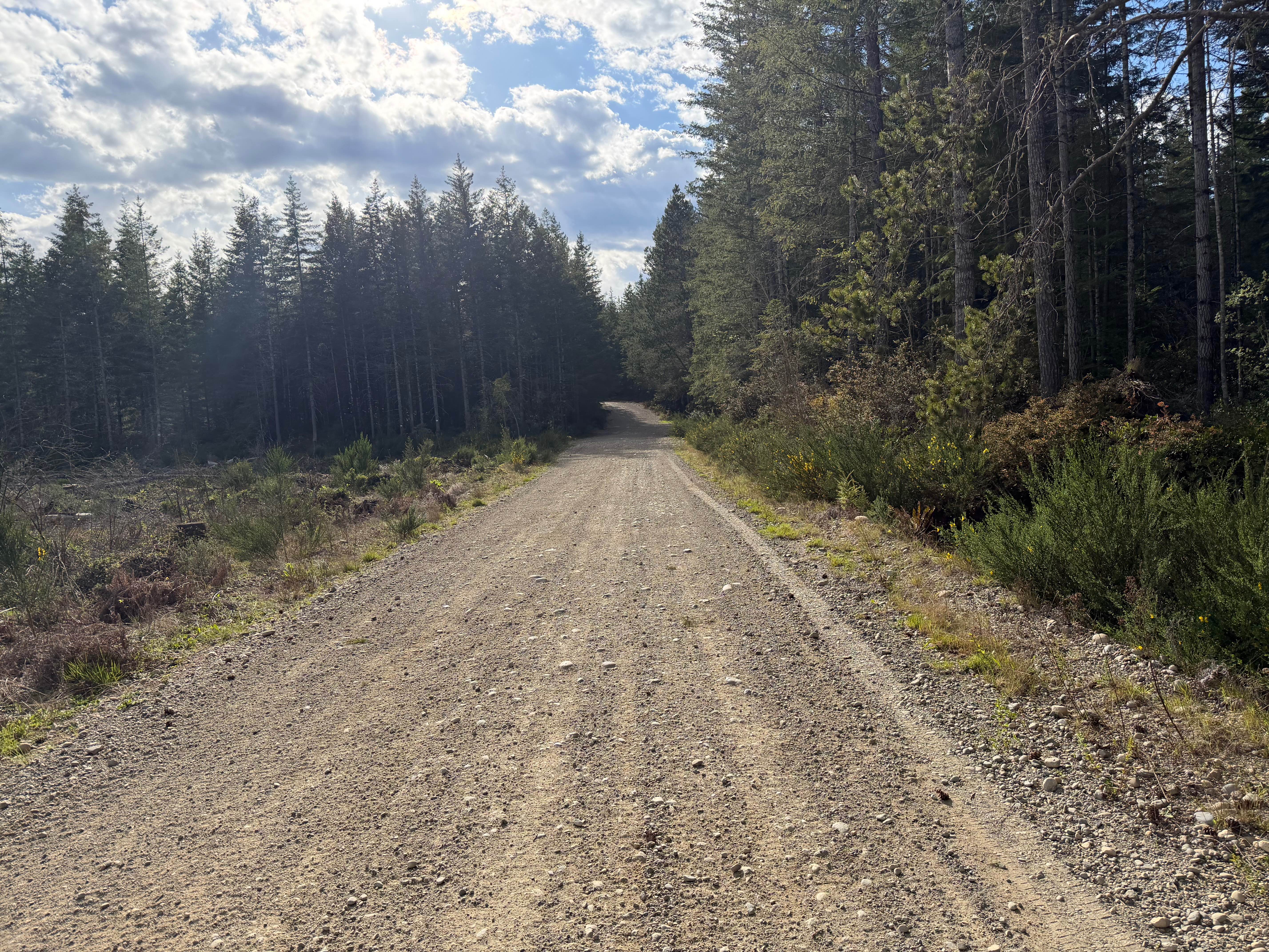 Goat Ranch Road