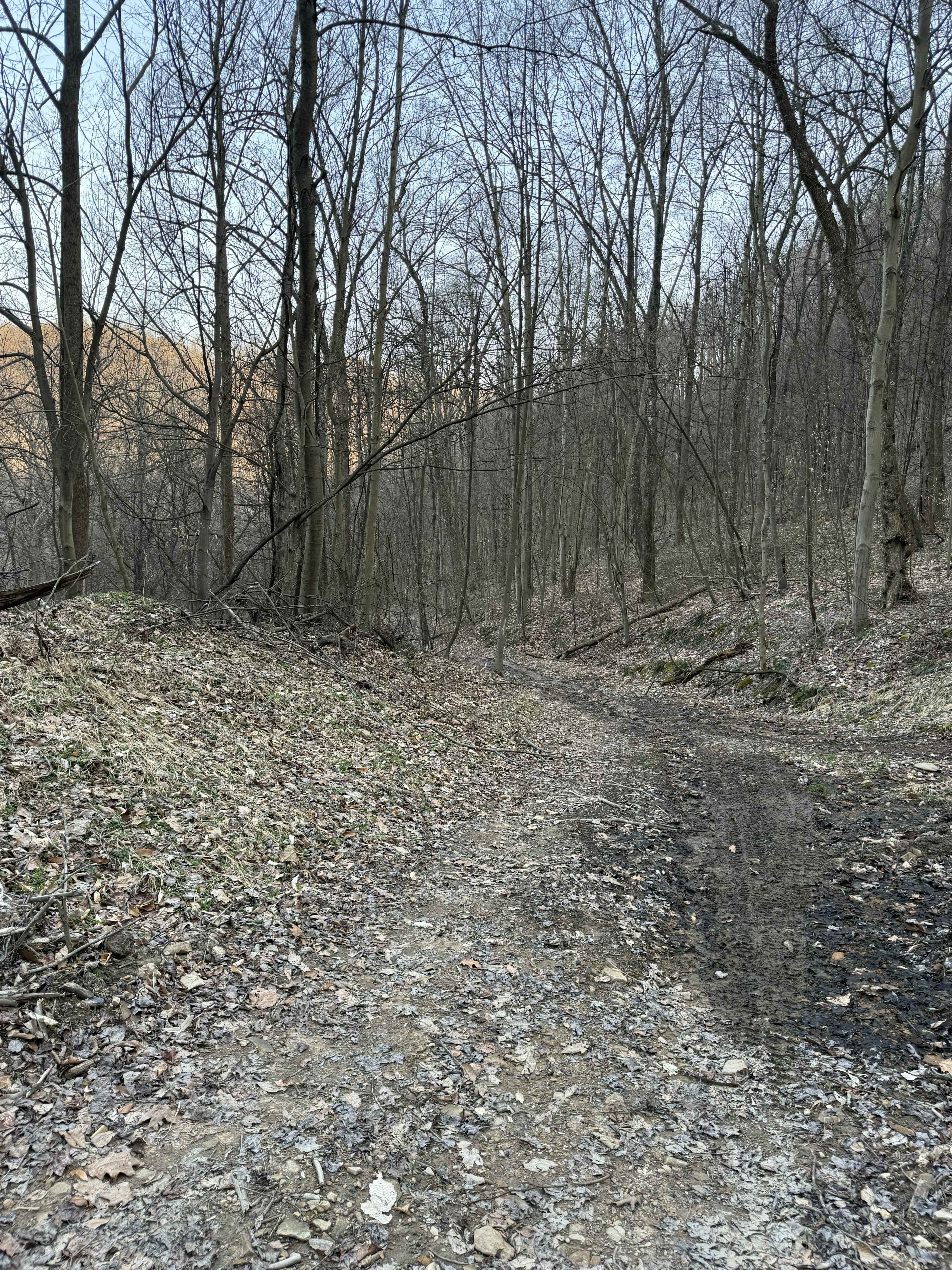 Q20A