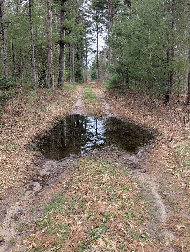 Benzie Lane West