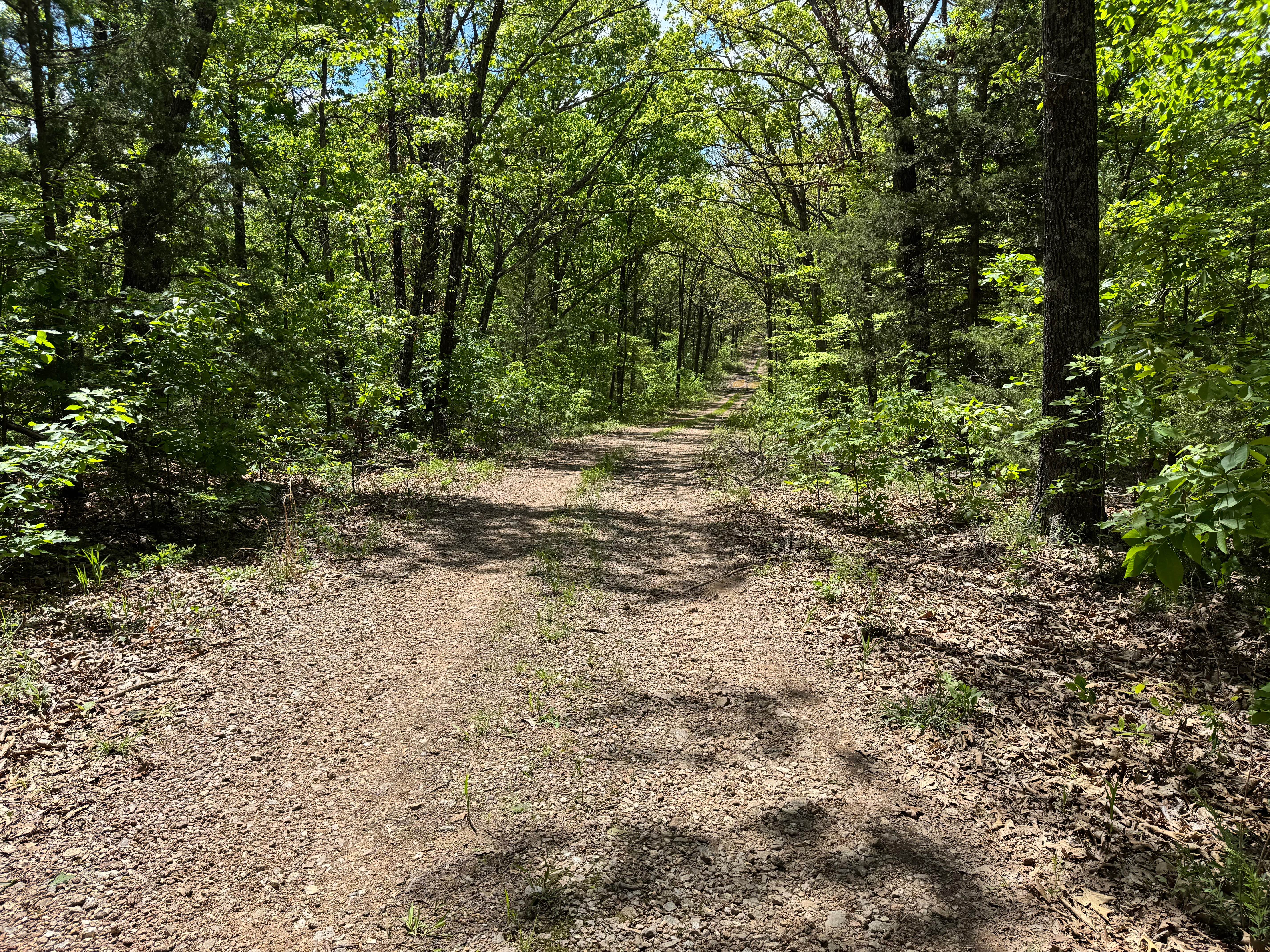 Cave Springs Spur A