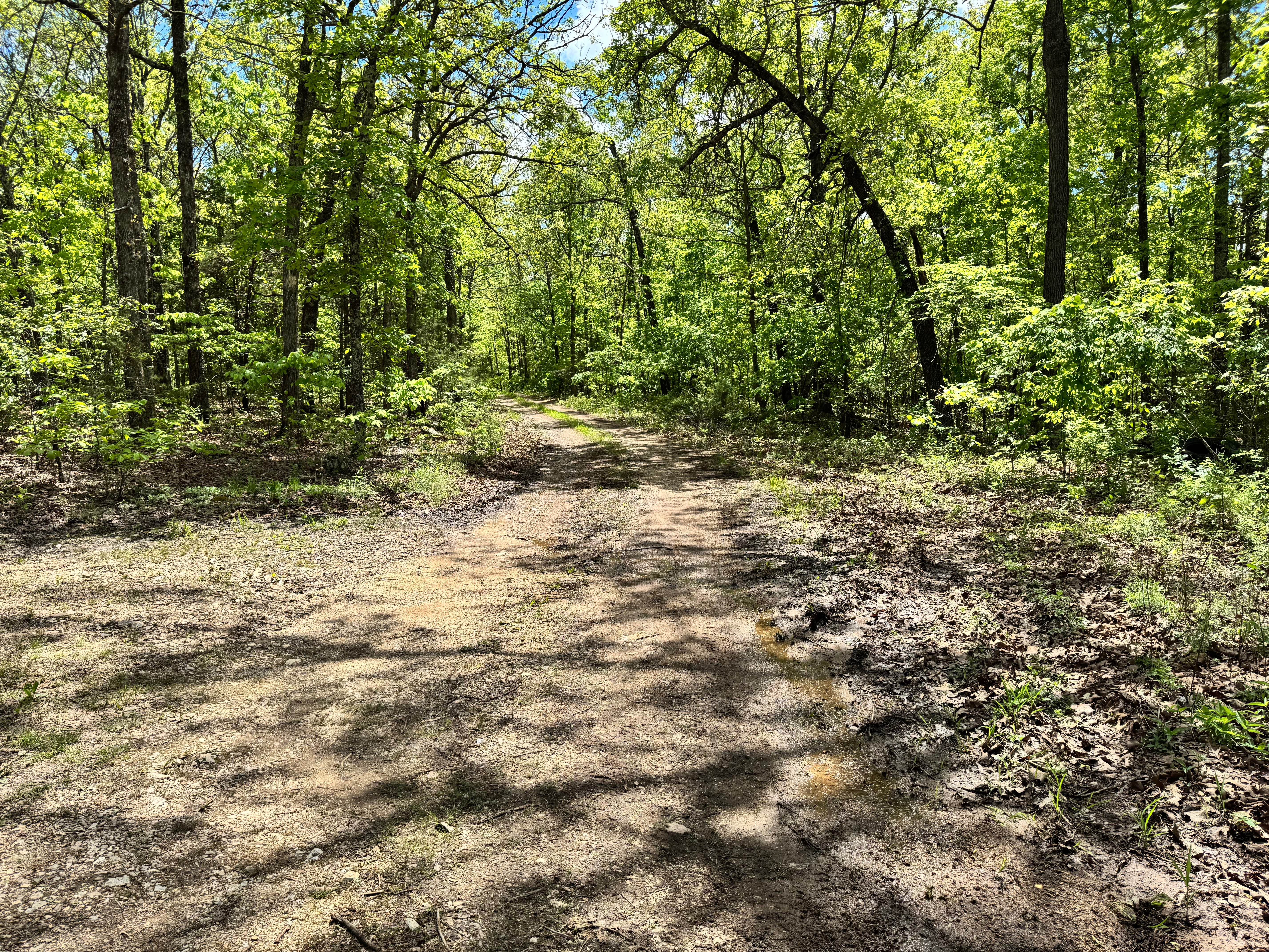 Cave Springs Spur A