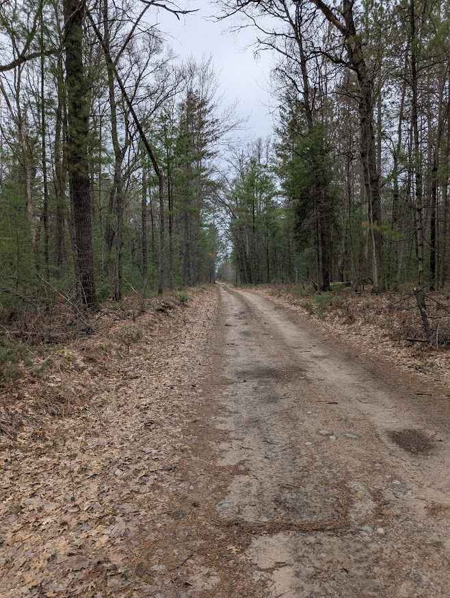 Osceola Trail South