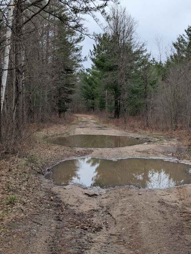 Osceola Trail North