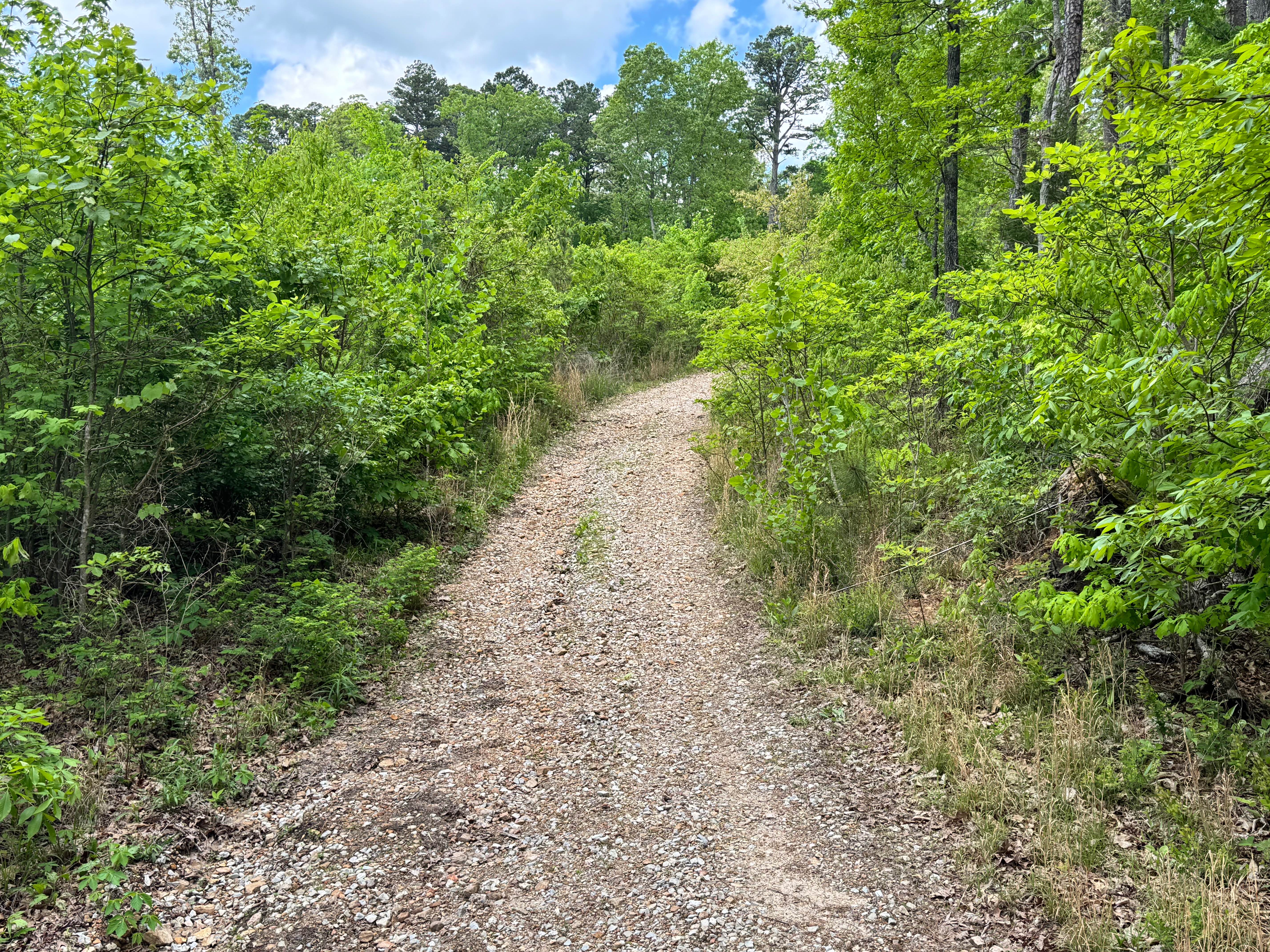 Pocket Eddy Ford Spur A
