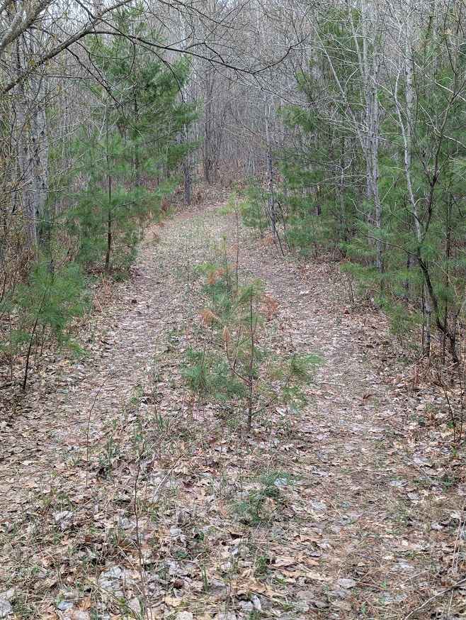 Harrison Loop