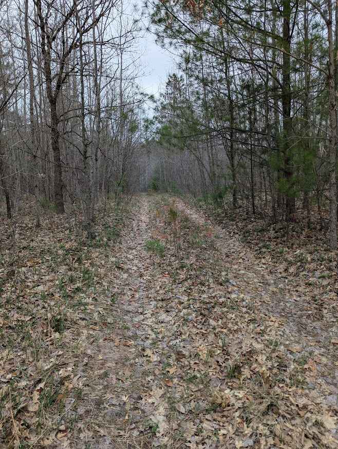 Harrison Loop