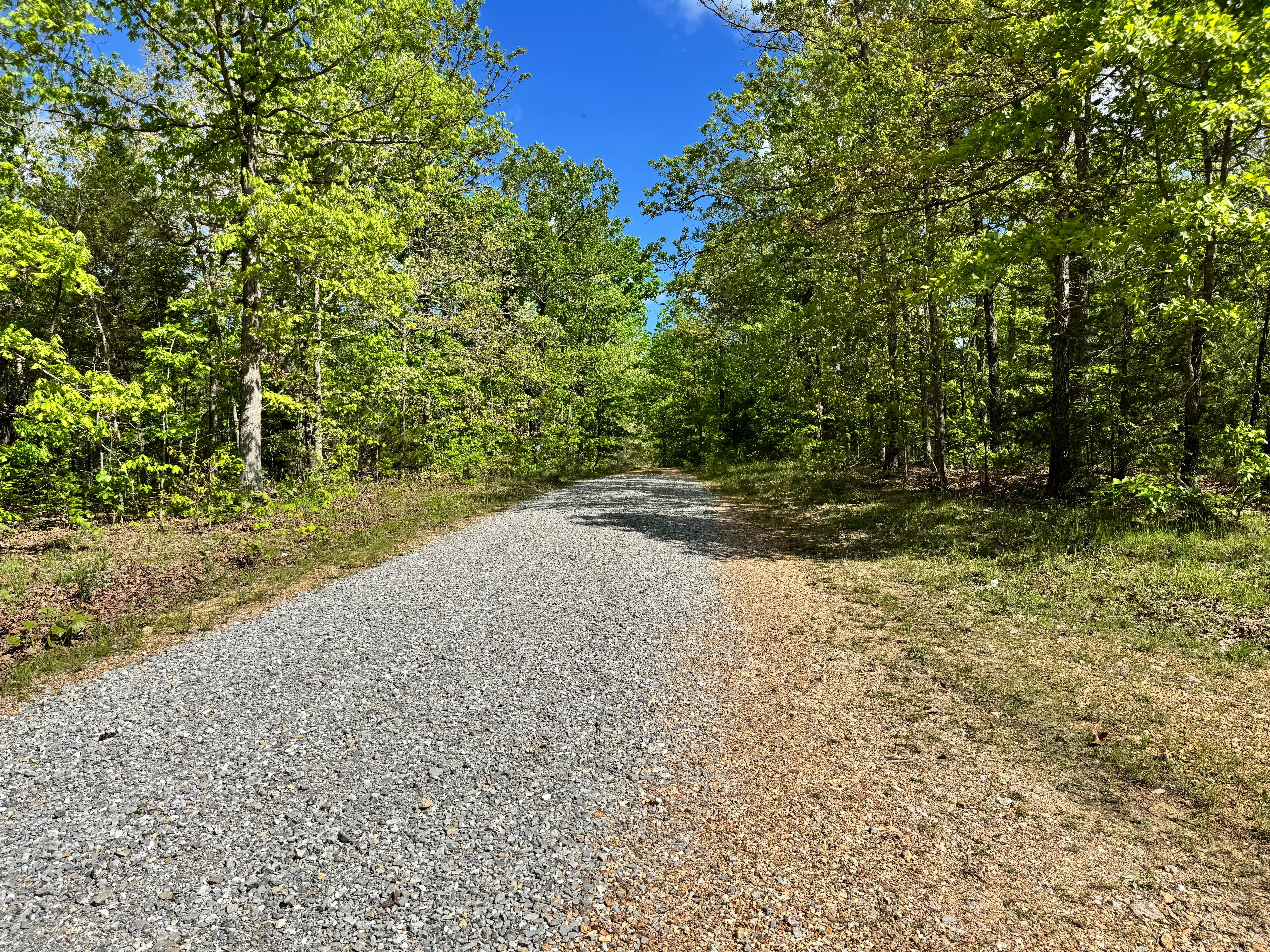 Hamilton Ridge - FS 1769