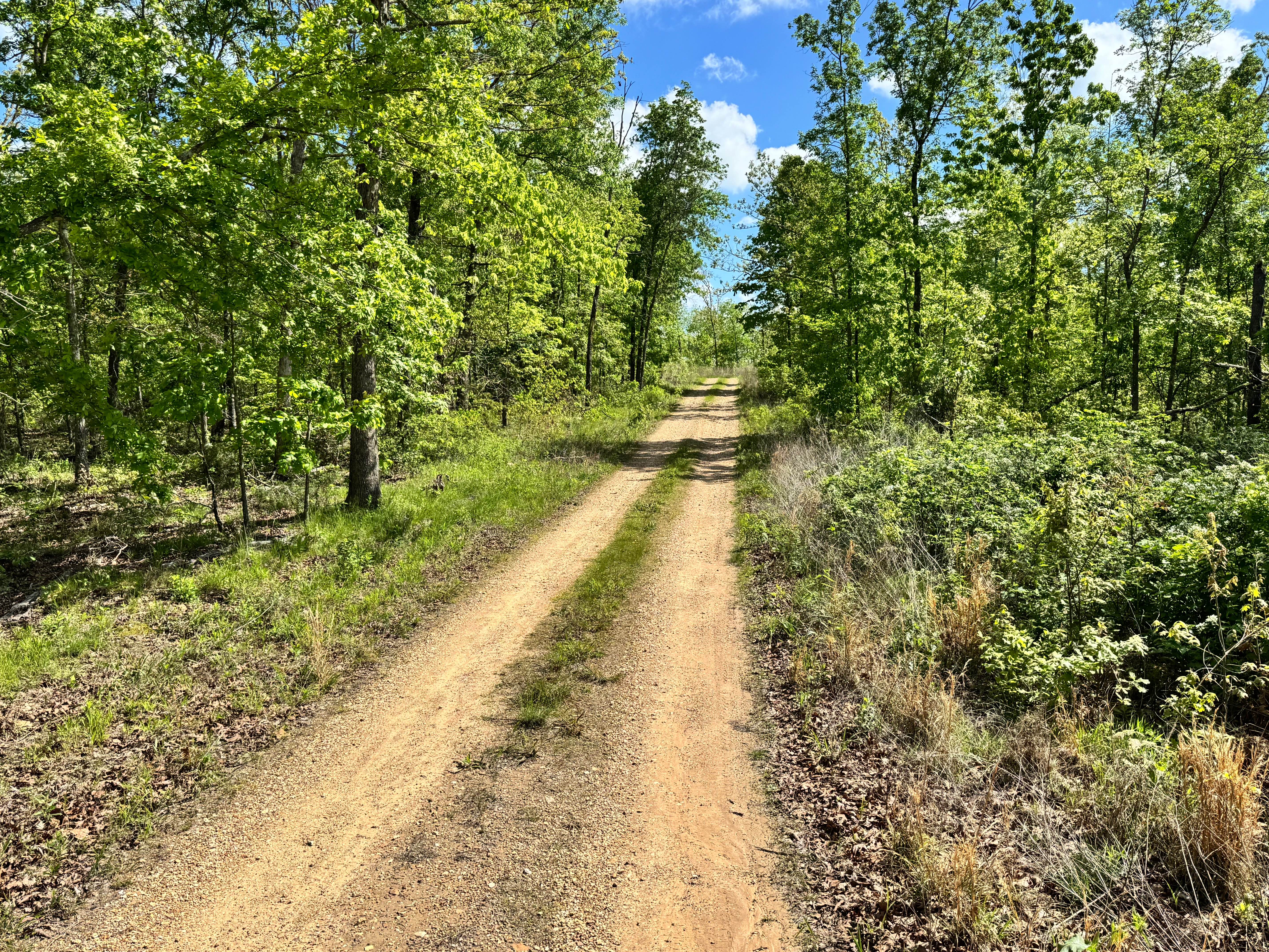 Hamilton Ridge - FS 1769