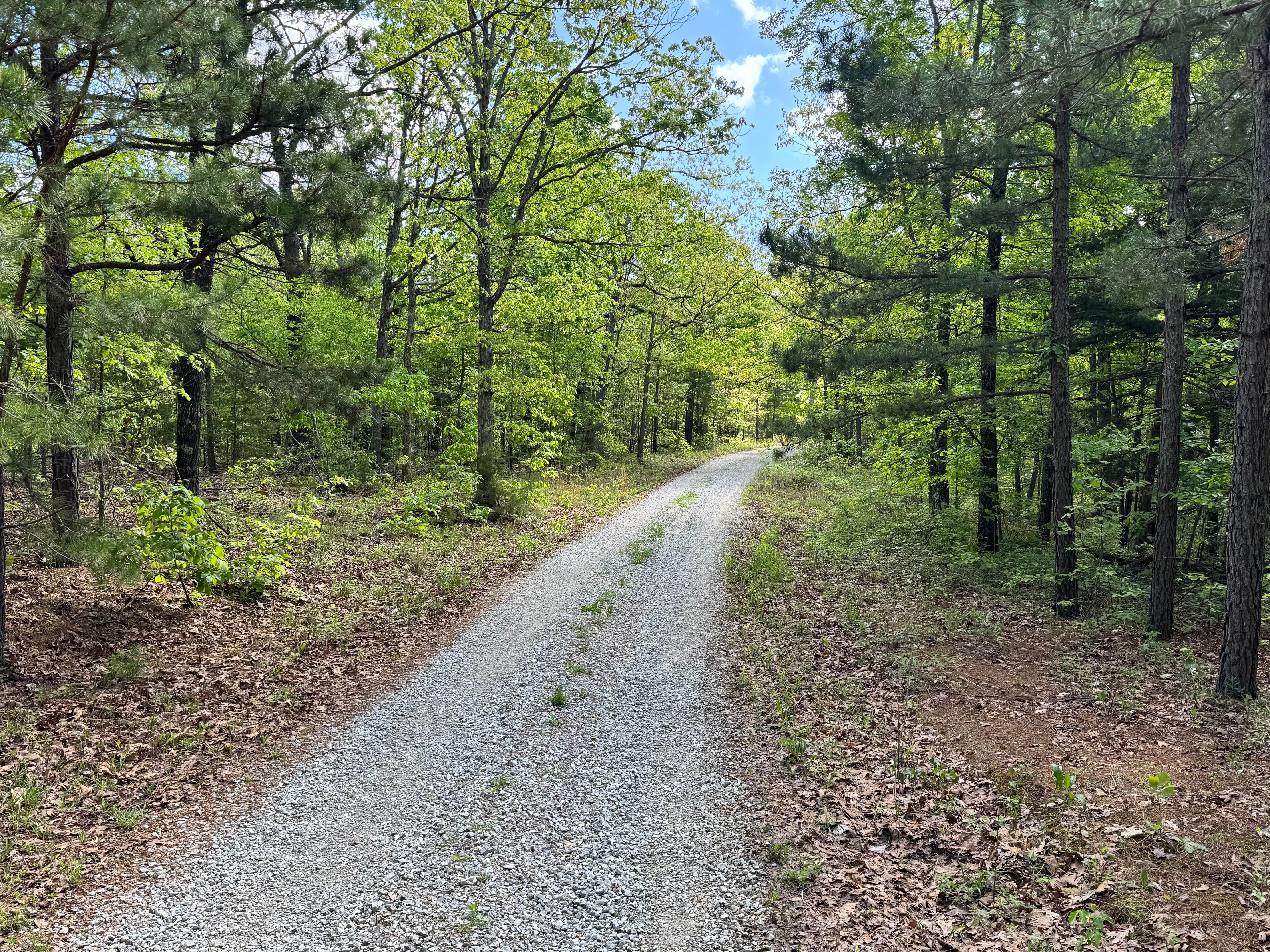 Hamilton Ridge