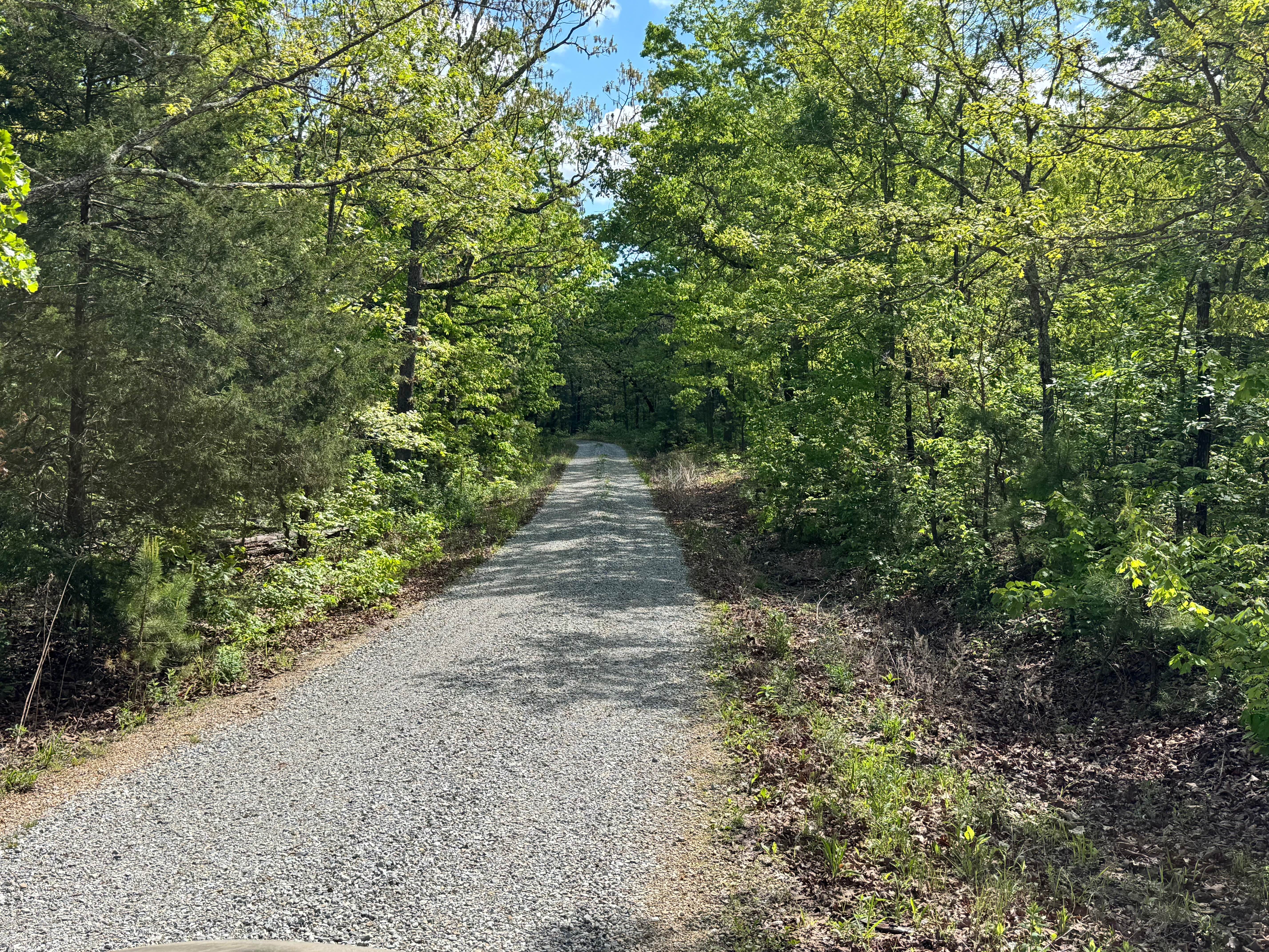 Hamilton Ridge