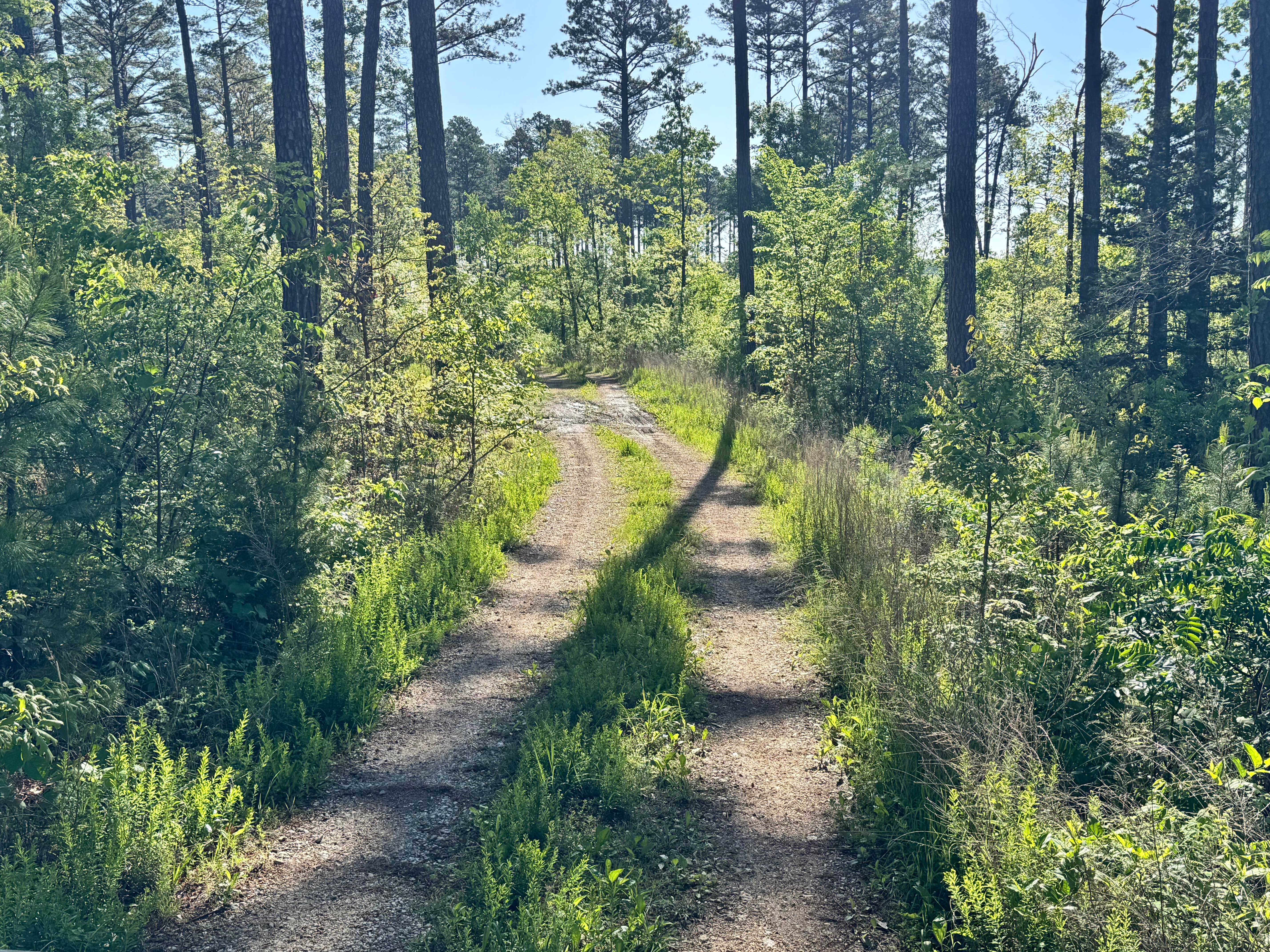 Independent - FS 1756