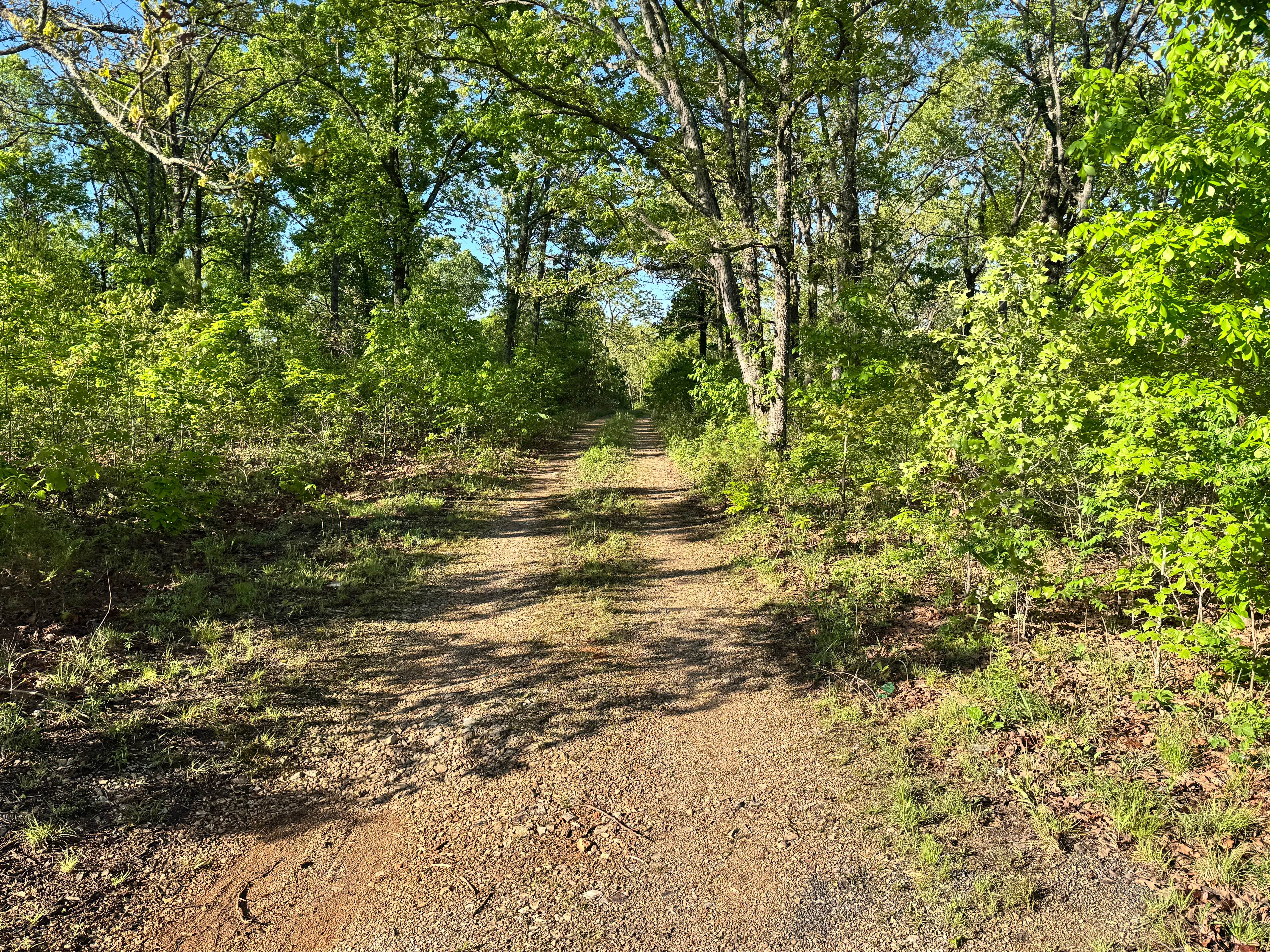 Watts Hollow - FS 1509