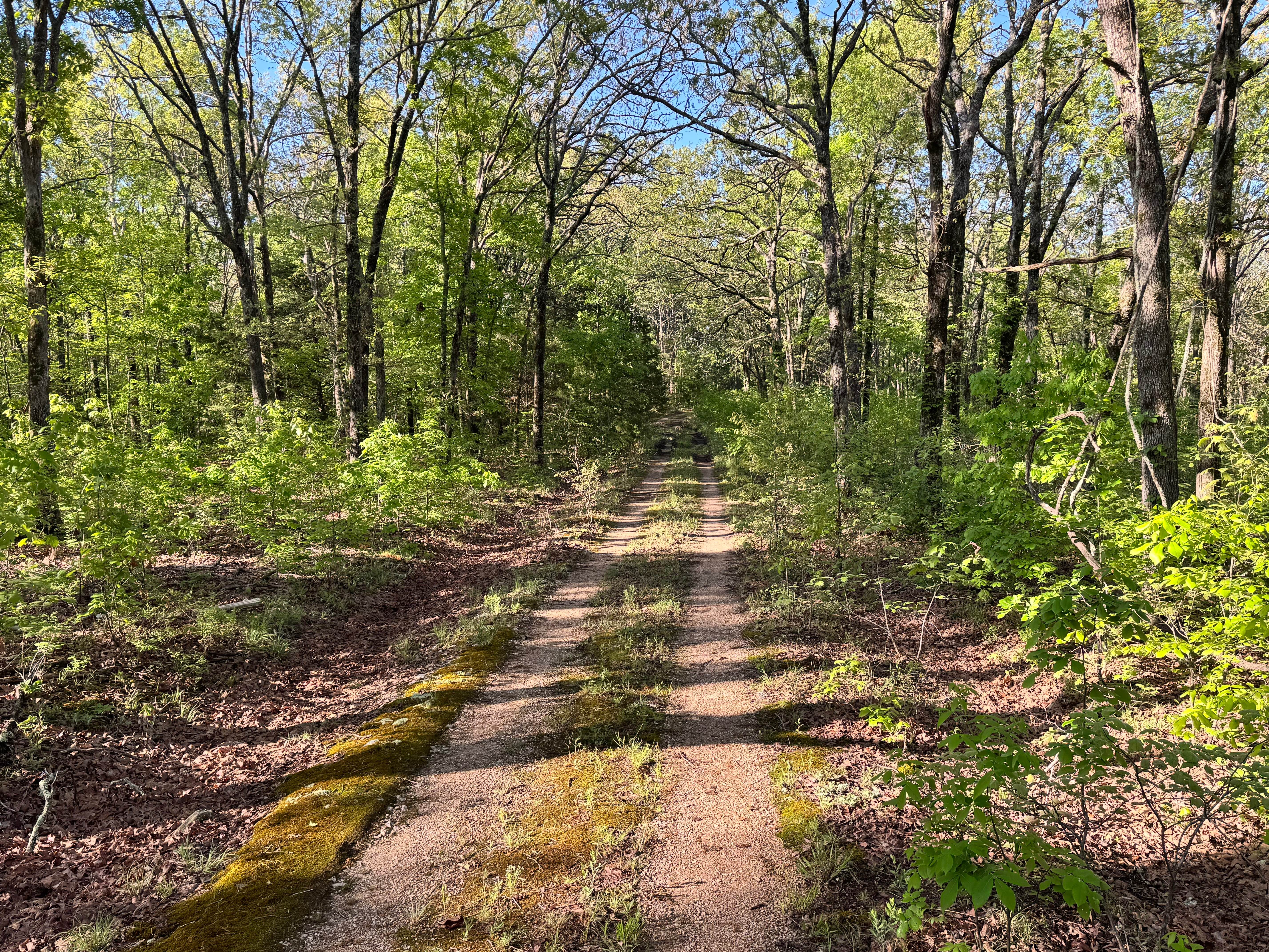 Watts Hollow - FS 1509