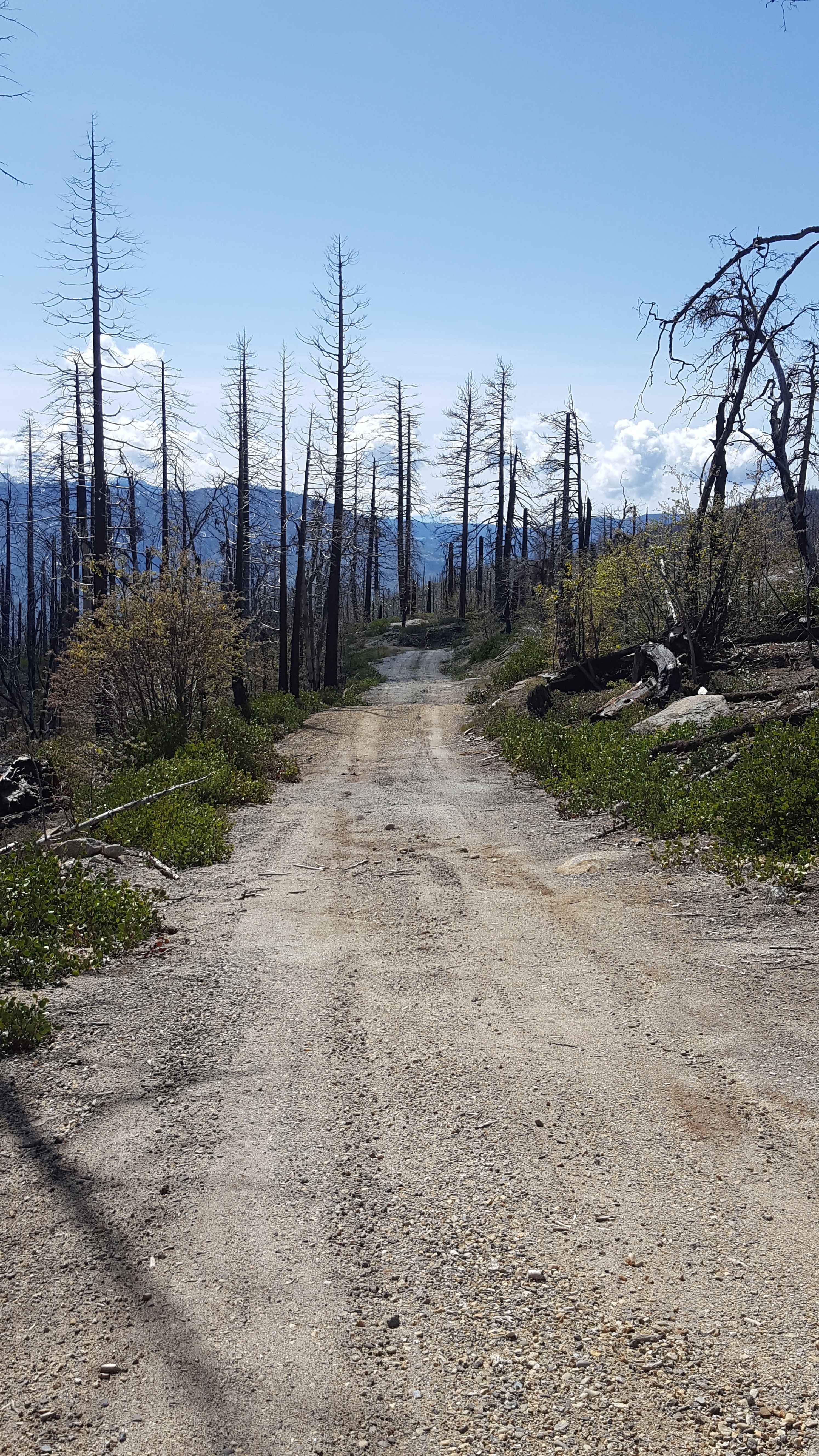 Fish Creek West - FS 7S007