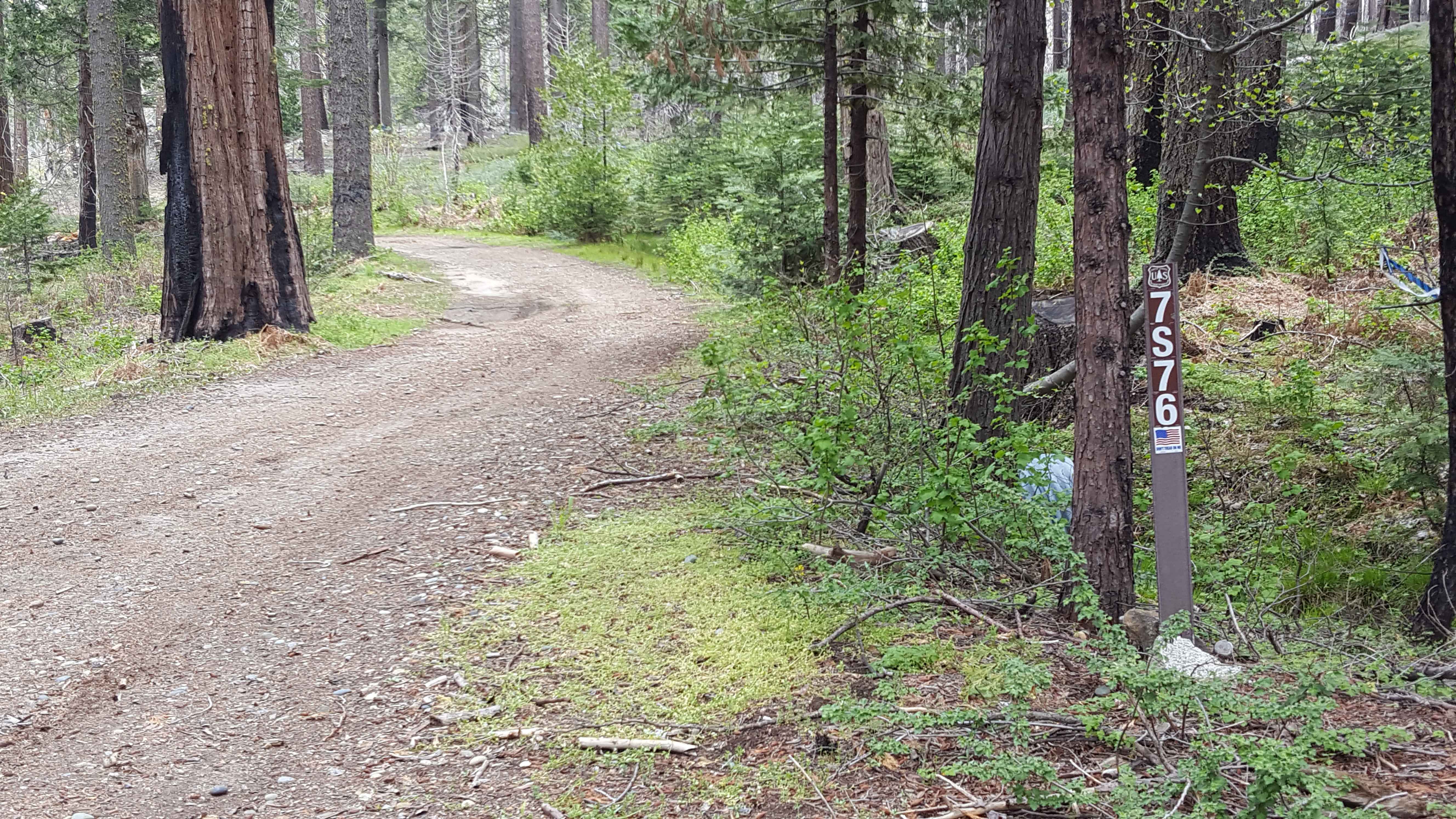 Ellis Meadow - FS 7S076