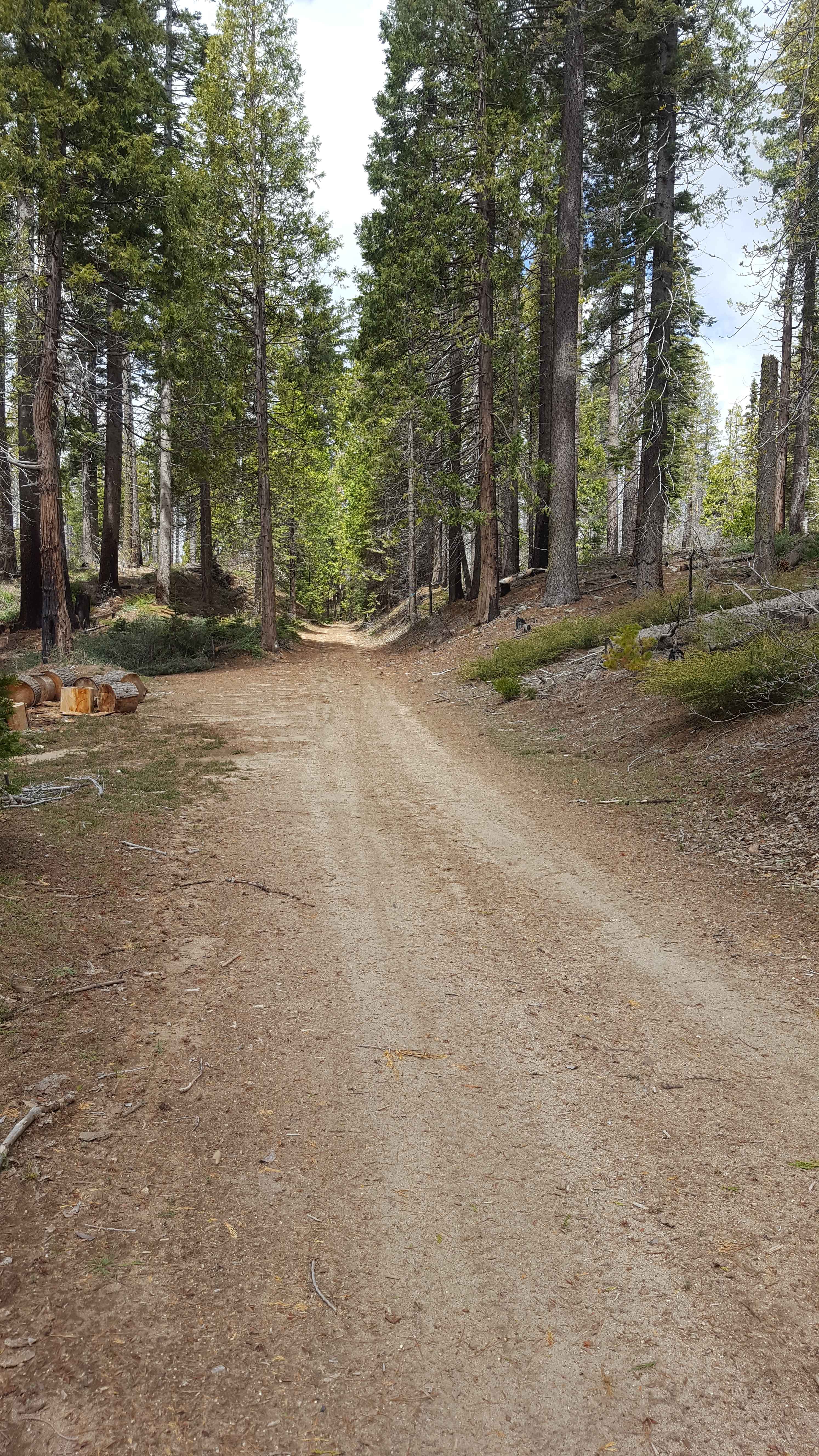 Ellis Meadow - FS 7S076